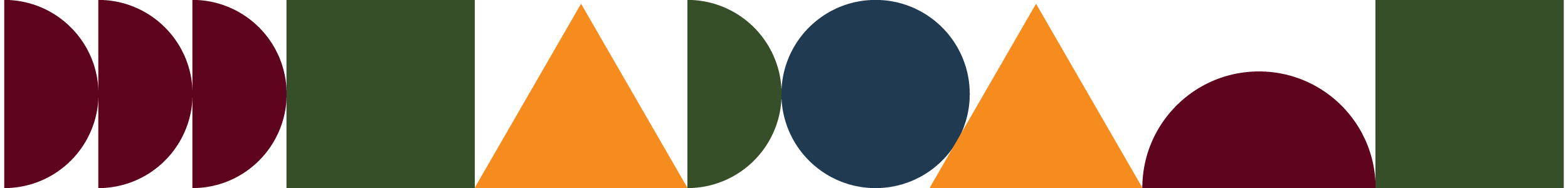 Richly coloured shapes representing emotional journeys and life paths