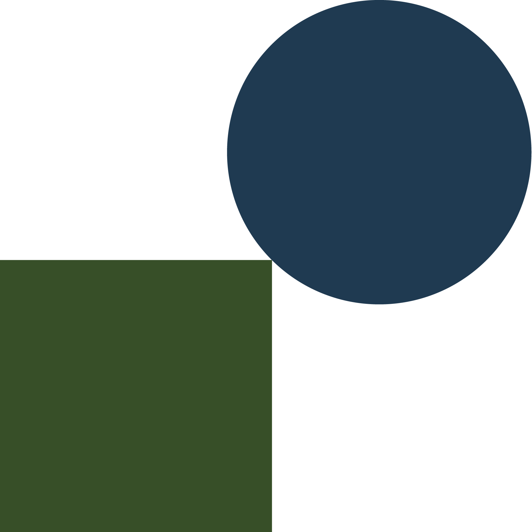 Richly coloured shapes representing emotional journeys and life paths