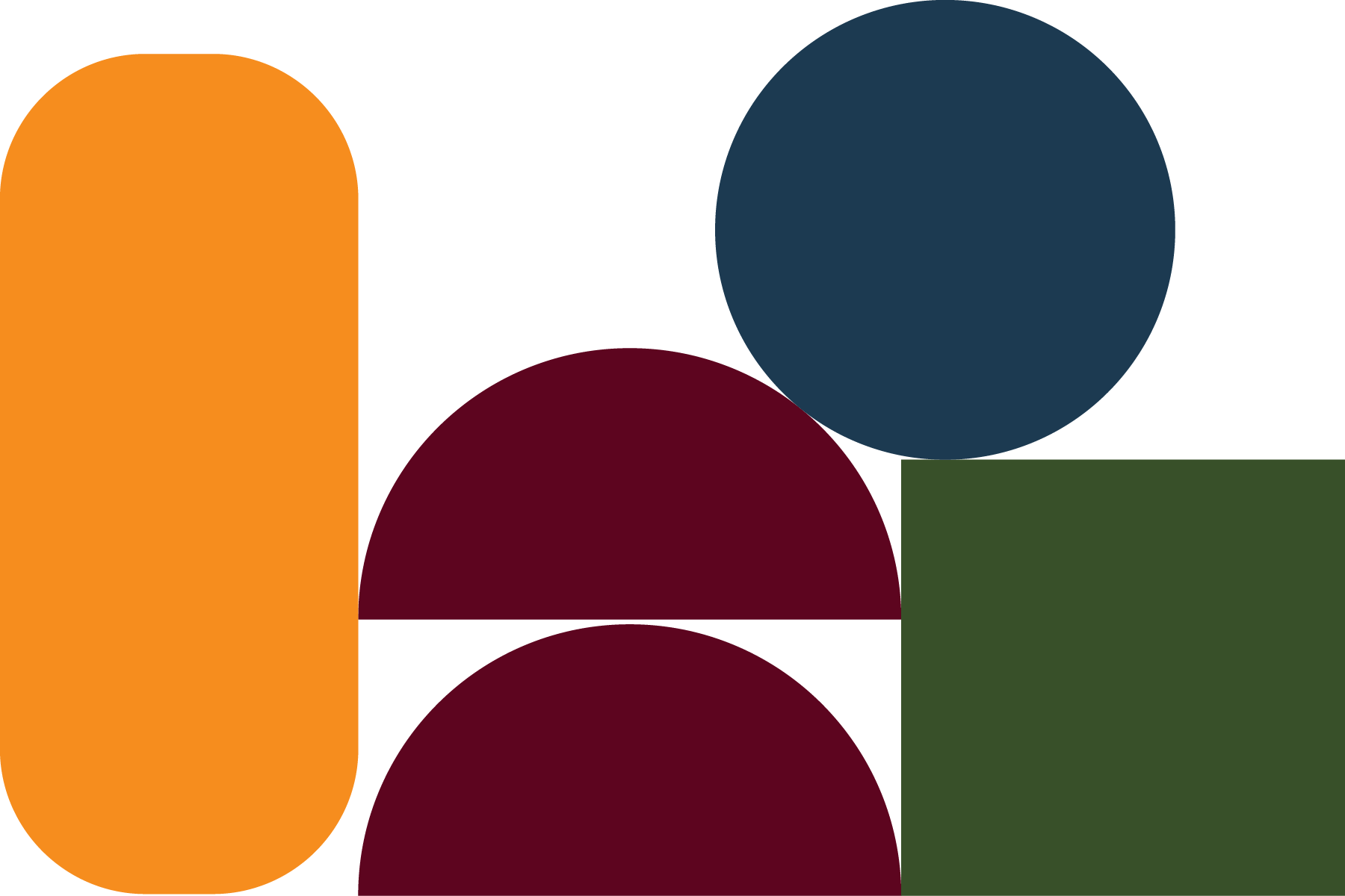 Richly coloured shapes representing emotional journeys and life paths