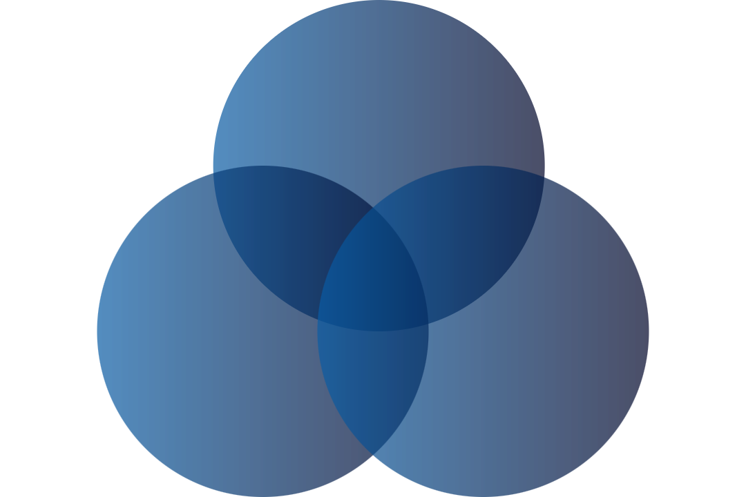 Overlapping blue and navy circles forming a Venn diagram.