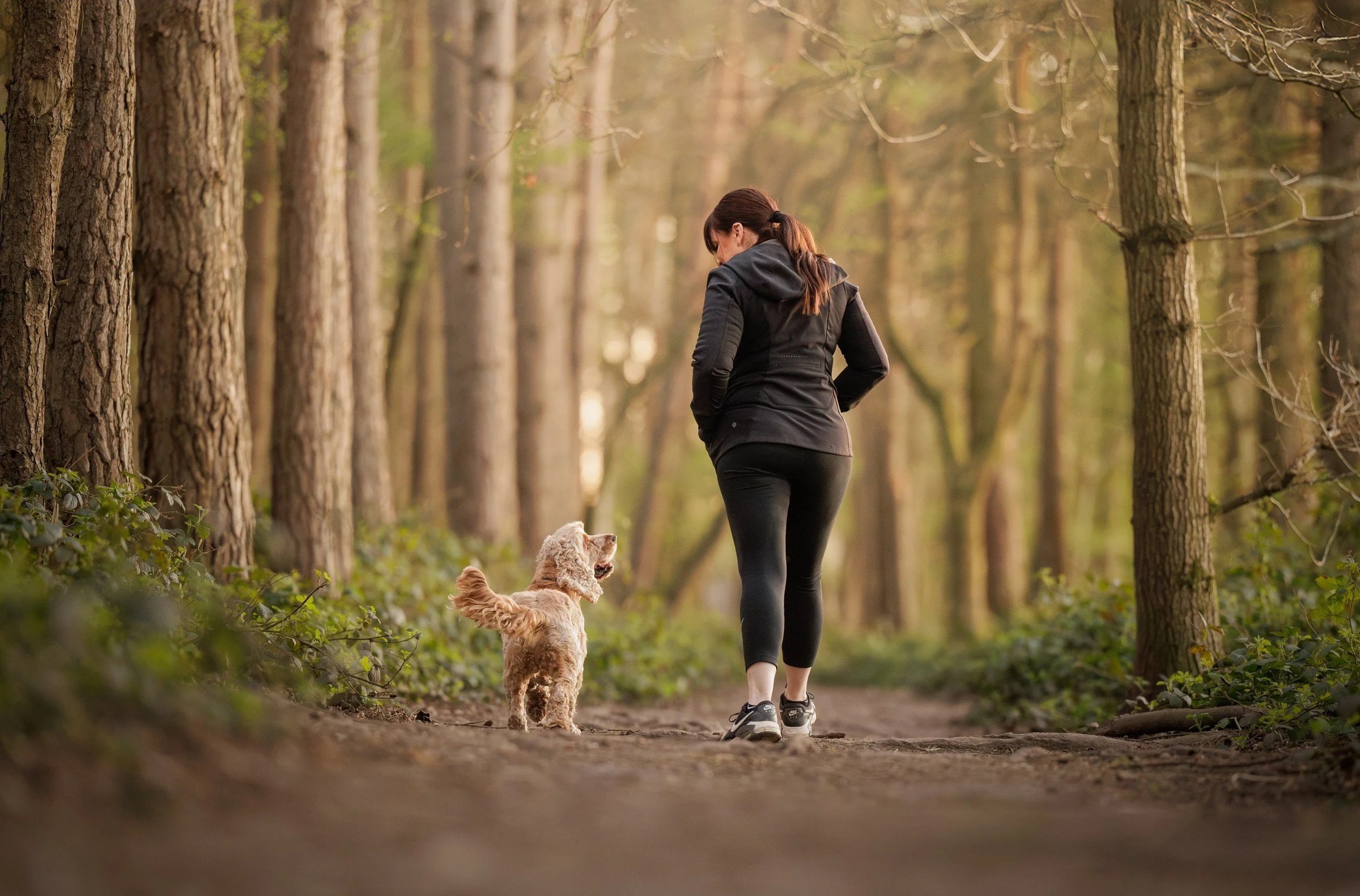 A woman walking on a forest trail with a small dog under trees during daytime.