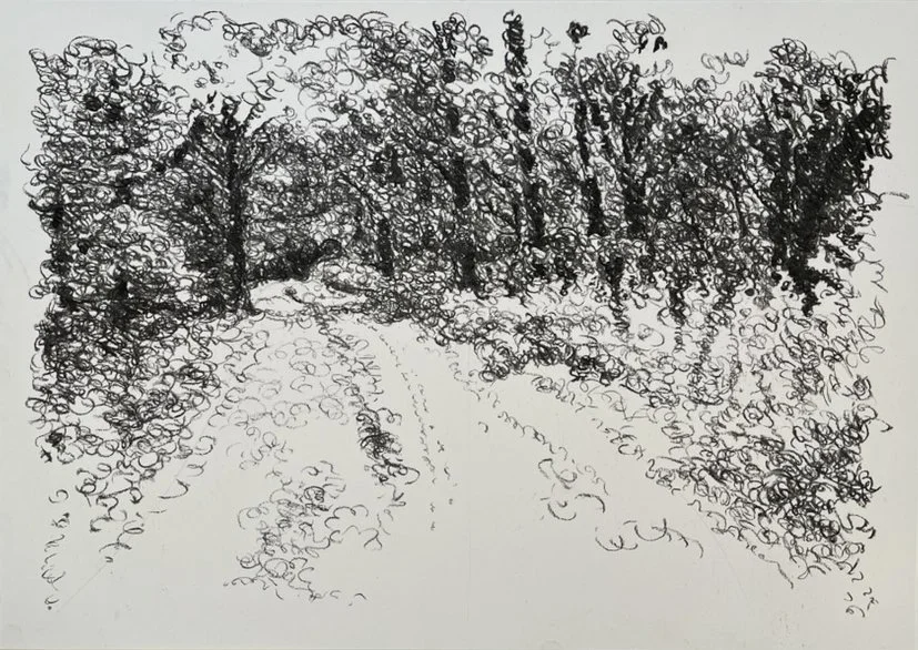 woods.jpg