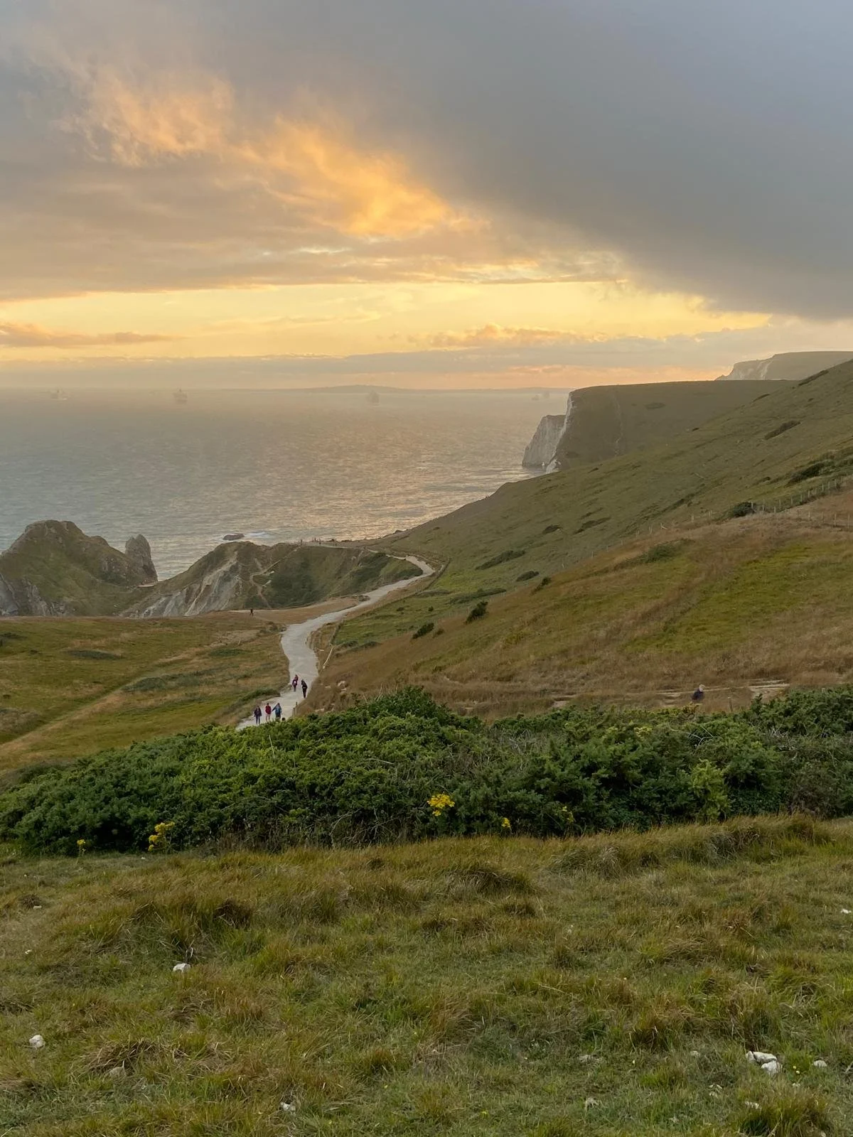 PHOTO-2026-03-26-13-58-58 2.jpg