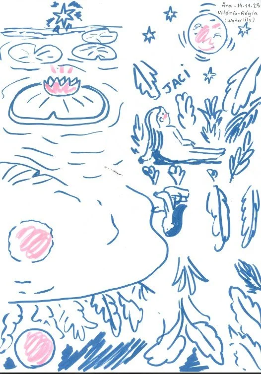 Legend of the Water Lily