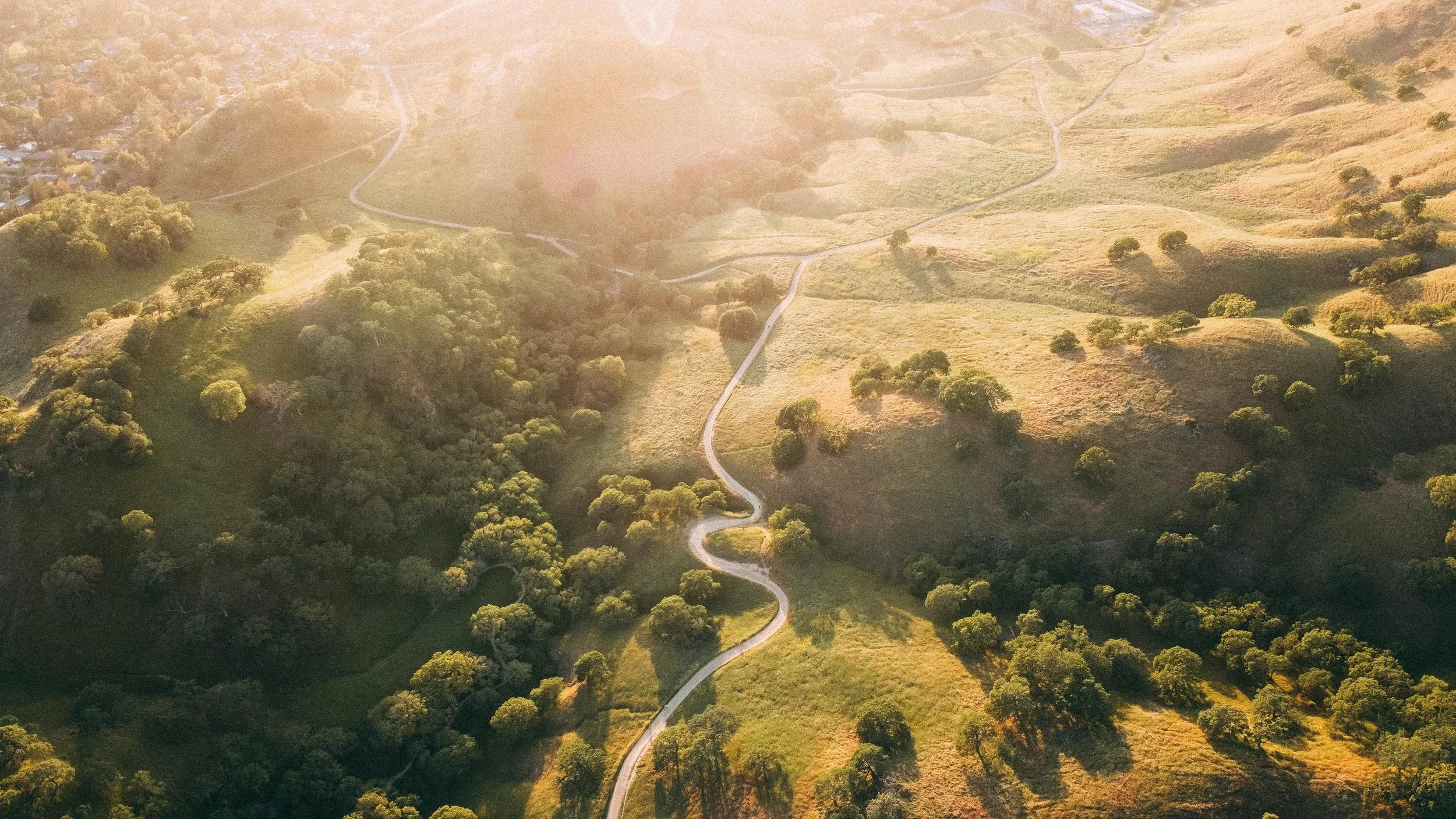 A winding road through rolling hills covered with grass and trees, with sunlight casting shadows and a haze in the sky.