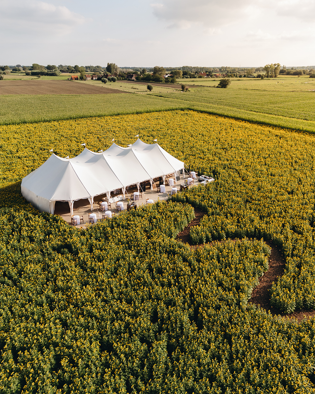 Sunflower field wedding stationery with personalised paper elements and natural styling