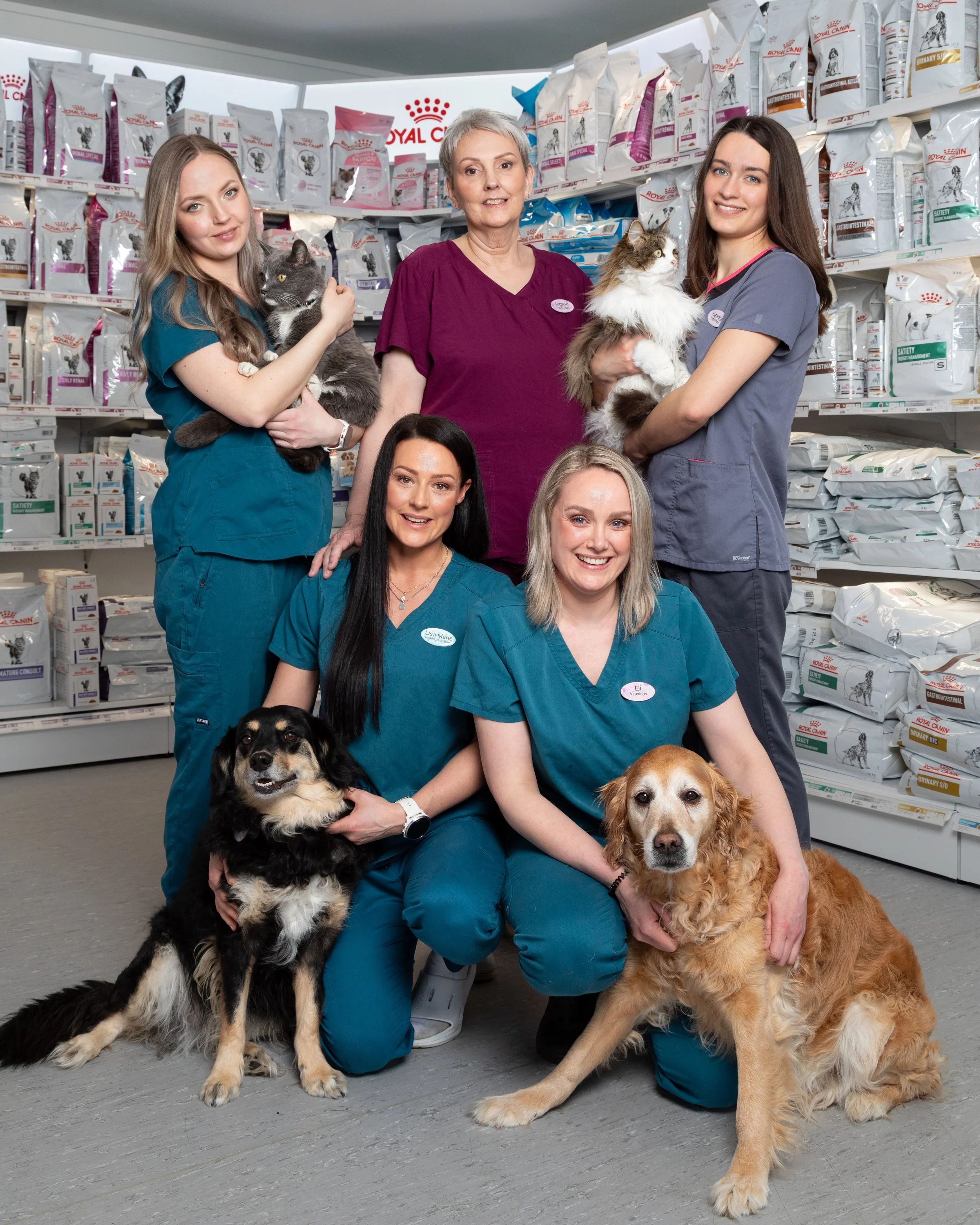 Fem kvinner to hunder og to katter, alle i uniform, i en dyrebutikk eller klinikk, med hyller fulle av dyrefór.