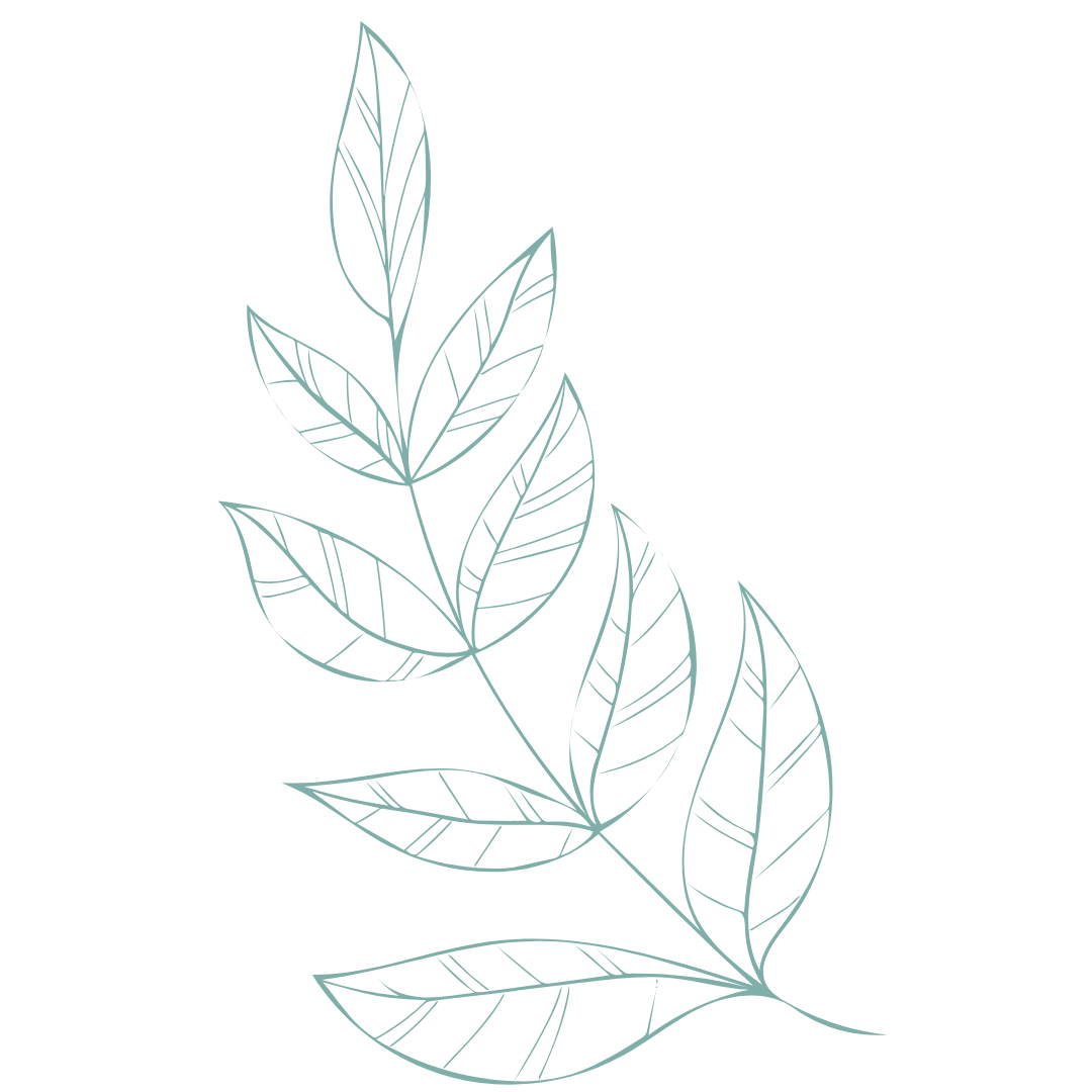 Illustration of a leaf representing the origins of meditation