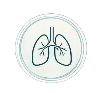 Breathwork icon representing breathing techniques and nervous system regulation.