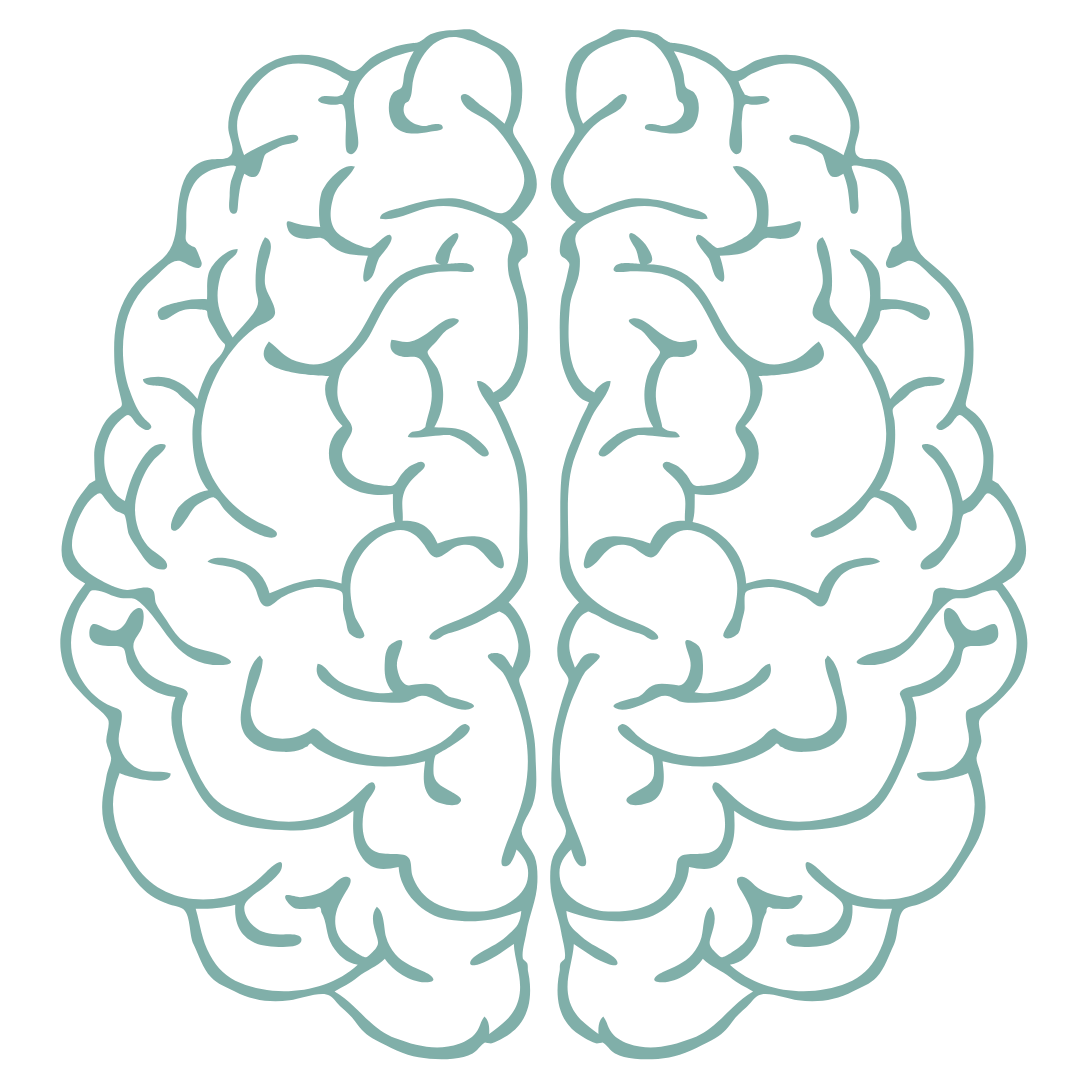 Brain illustration representing the effects of meditation on brain function.