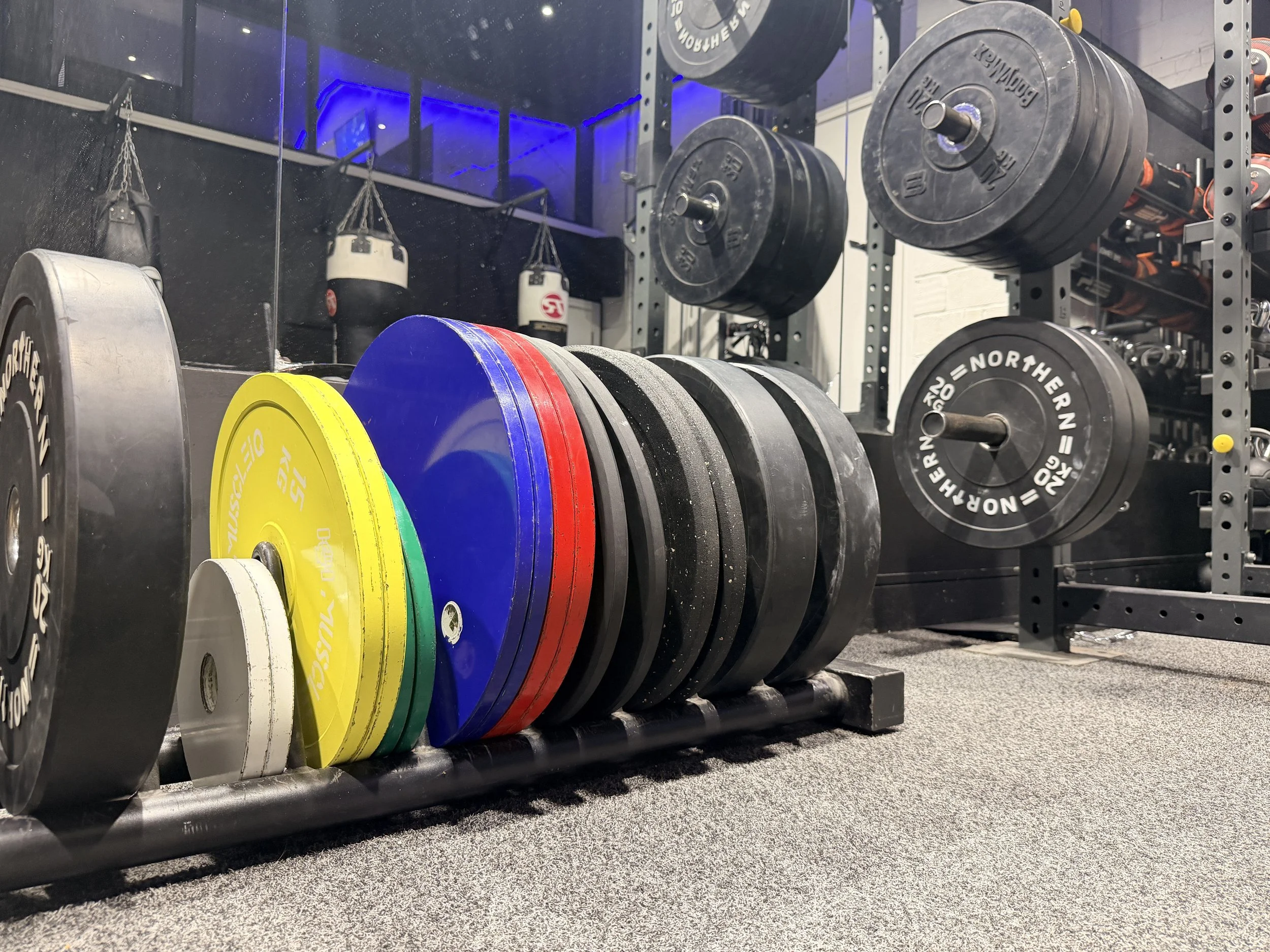 Colorful weight plates arranged on a rack in a gym with black rubber flooring and a wall with punching bags and blue lighting.