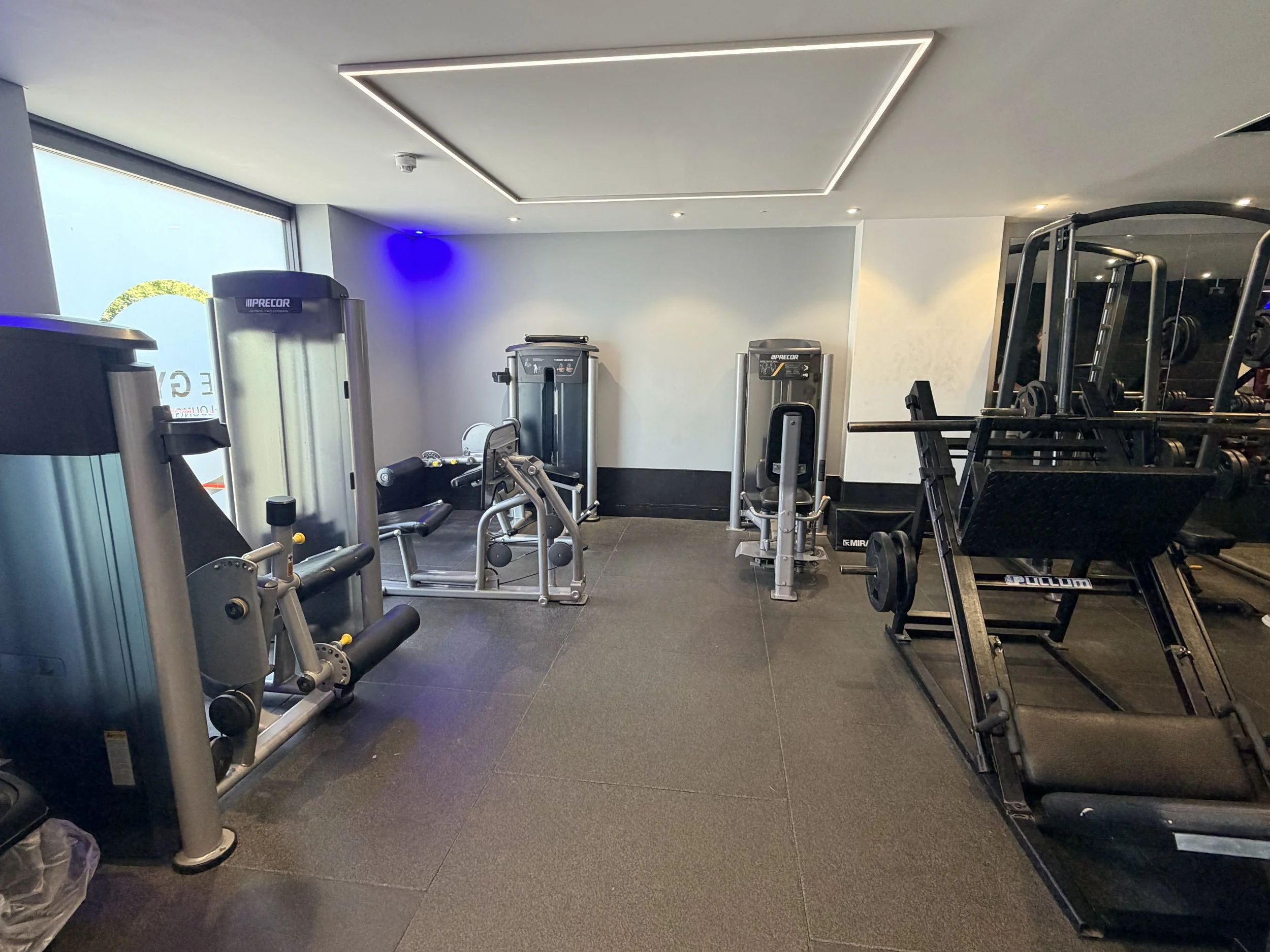 Interior of a gym with various workout machines and equipment, gray flooring, and a white ceiling with built-in lights.
