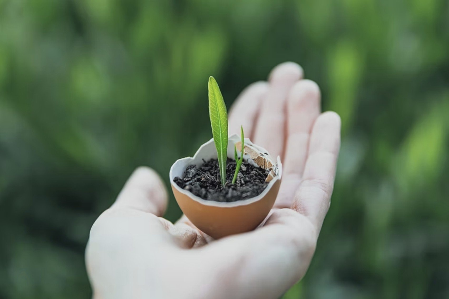 Embracing New Beginnings: Cultivating Courage and Inner Wisdom