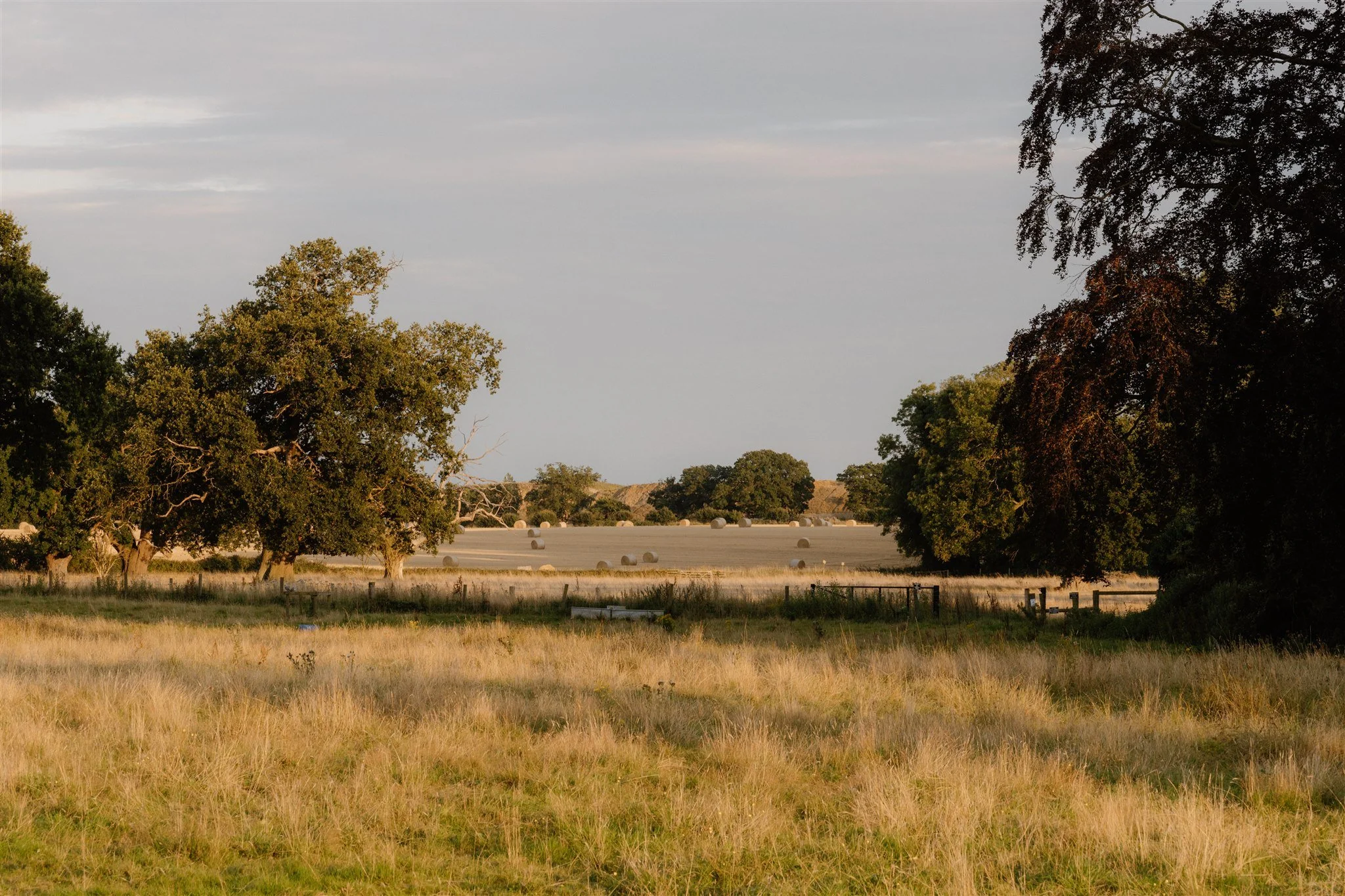 A rural scene with trees, a field, and round hay bales, with a cloudy sky above.
