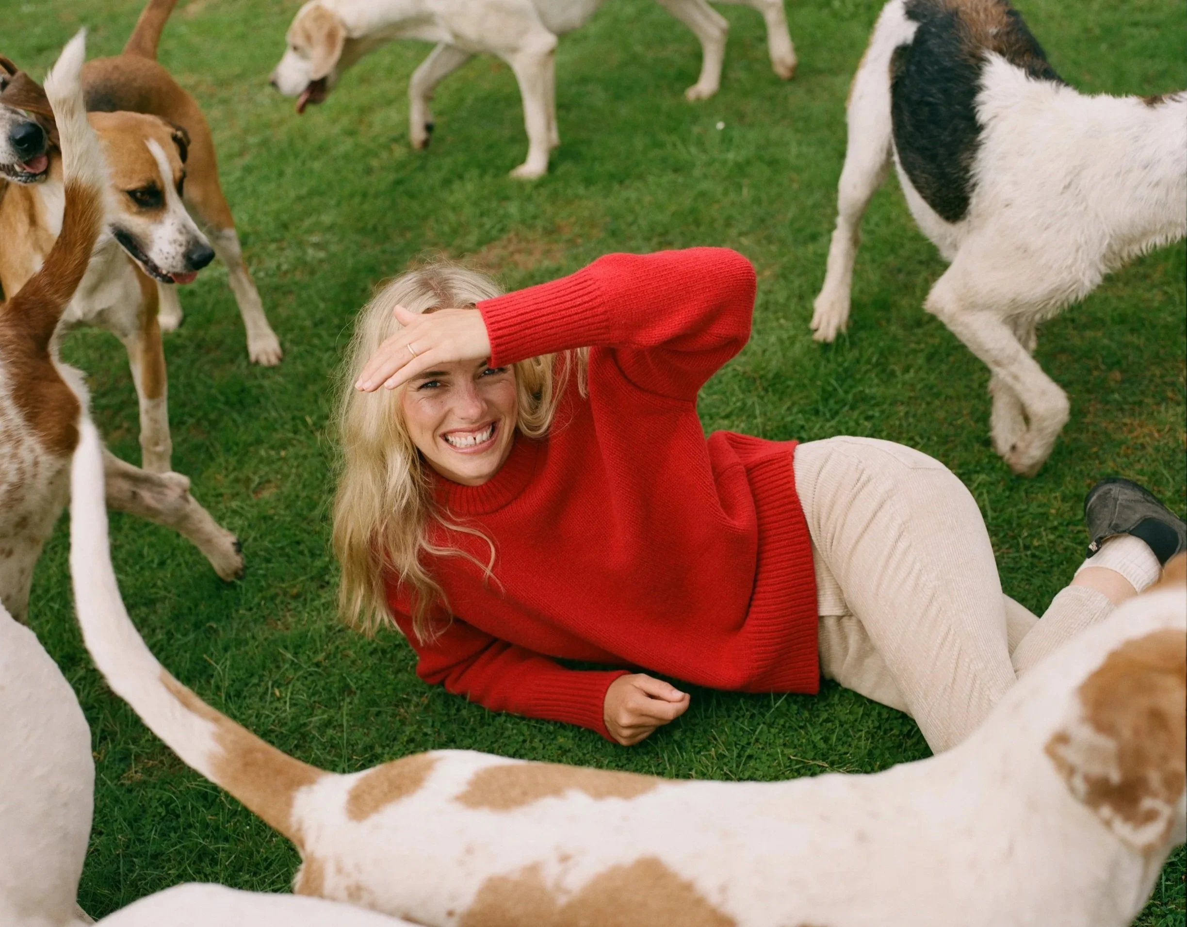 A woman in a red sweater lying on grass surrounded by multiple dogs, including hounds and a black and white dog.