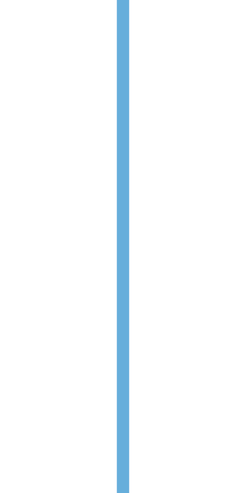 Drawing of two black fish facing each other with a blue divider down the middle.
