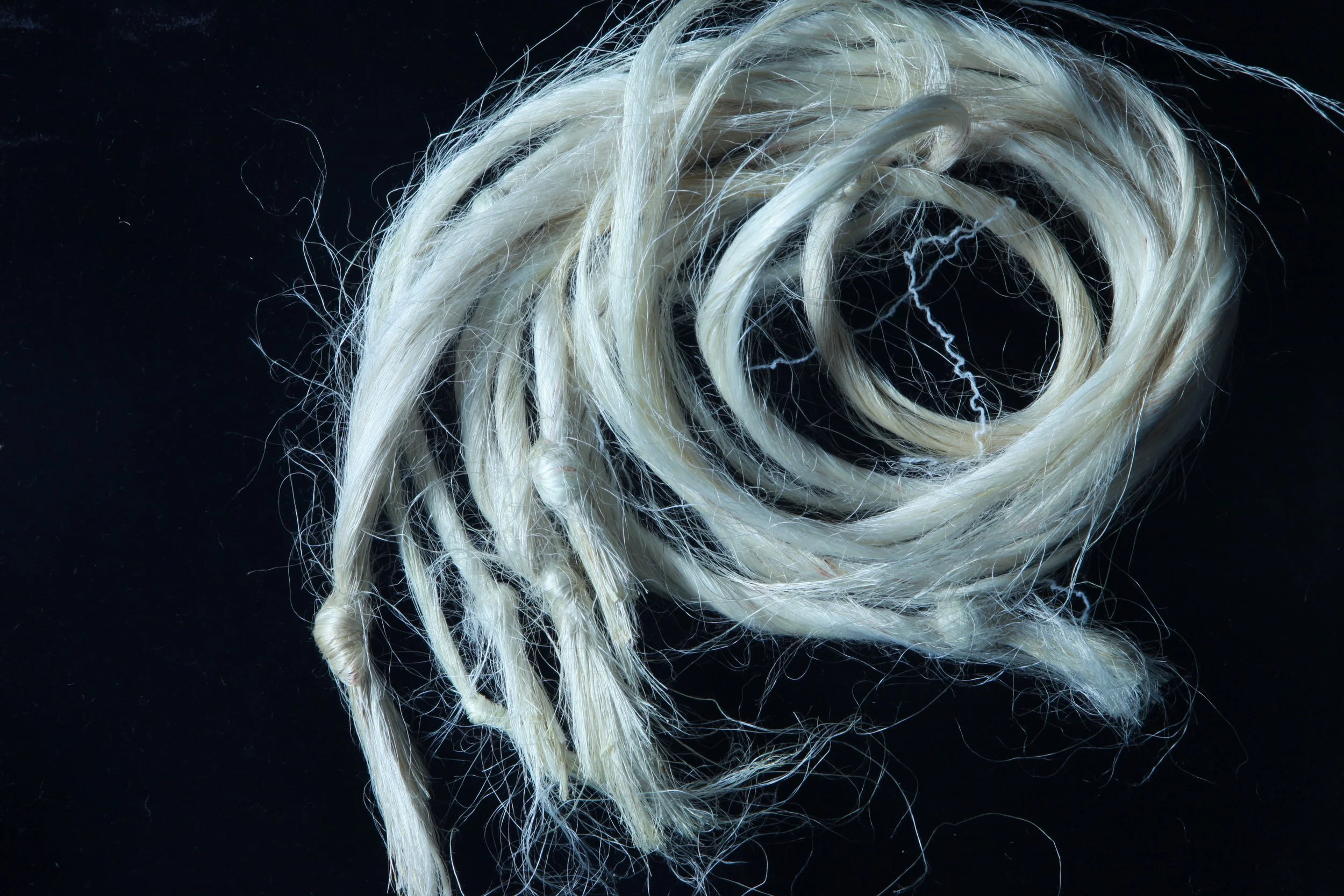 Close-up of raw harakeke muka fibres showing natural strength and texture