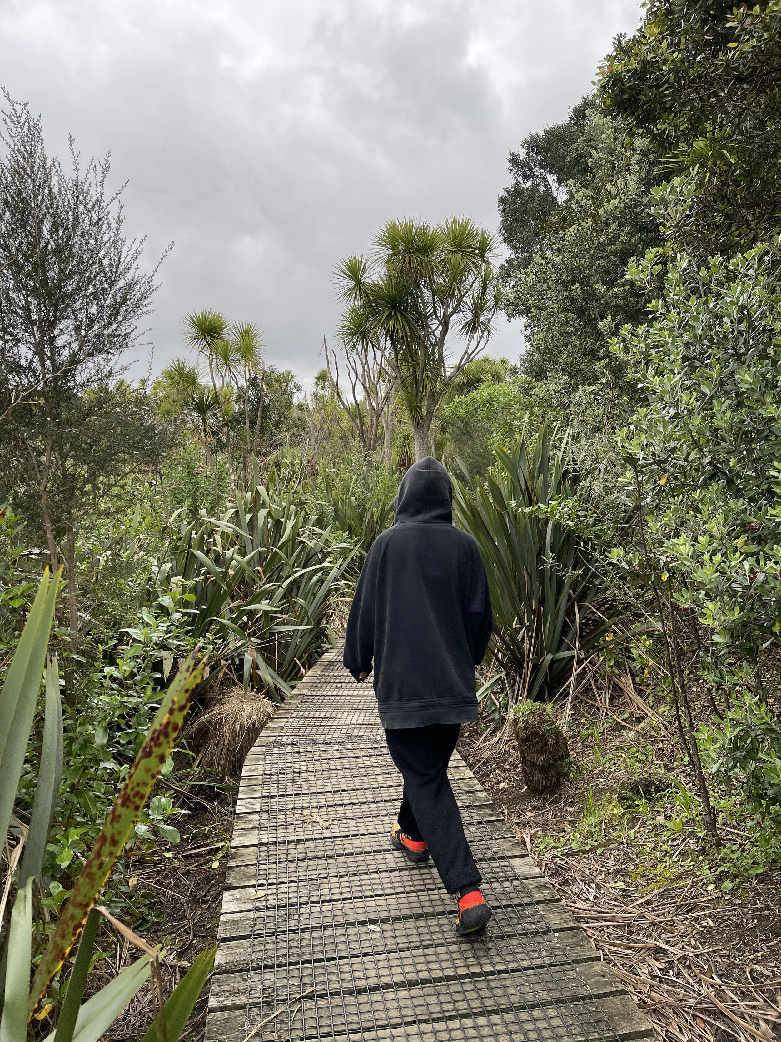 Rangatahi walking through Tī kōuka trees and harakeke growing in coastal landscape Aotearoa New Zealand