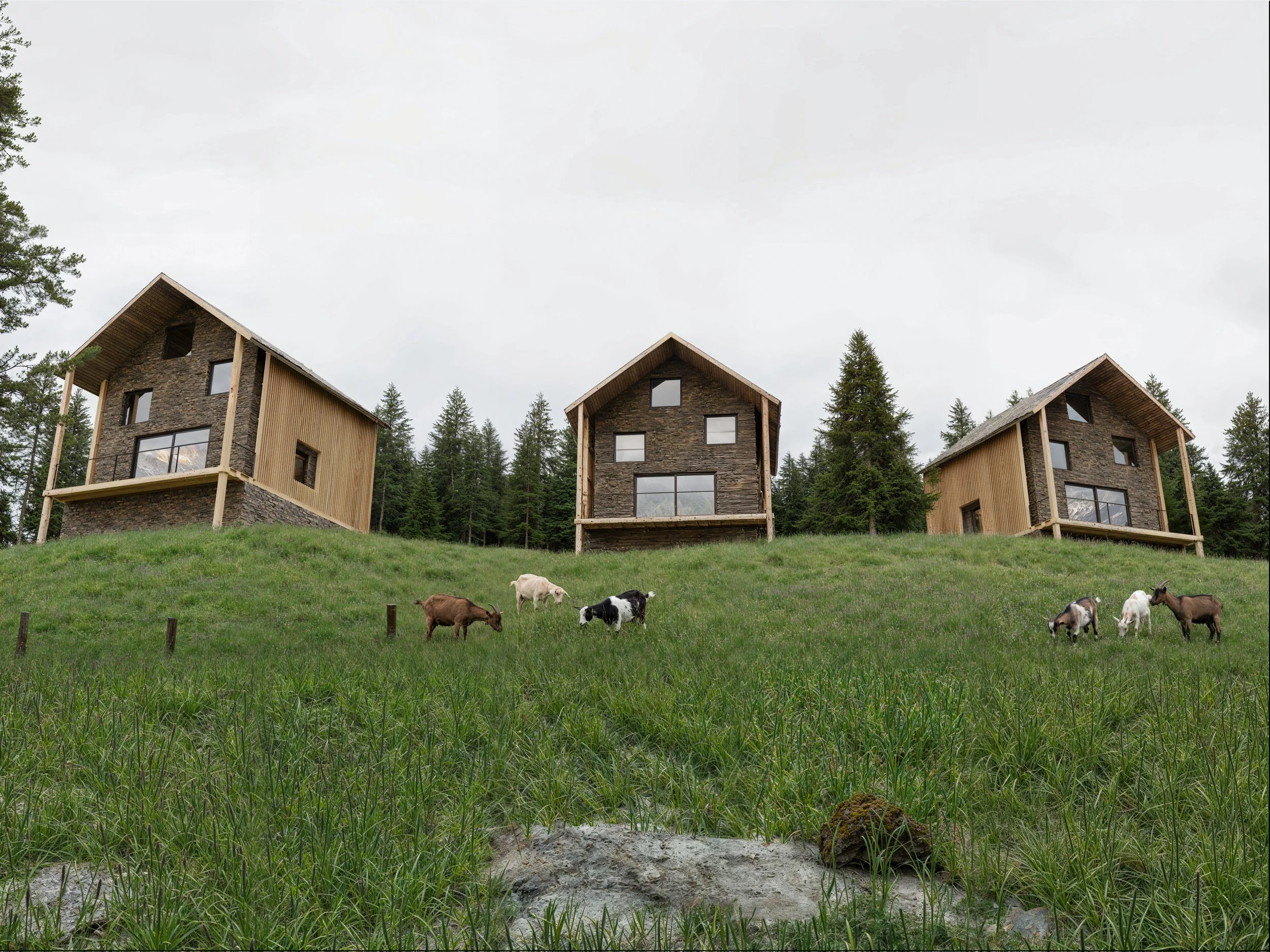 3huts.jpg1.jpg