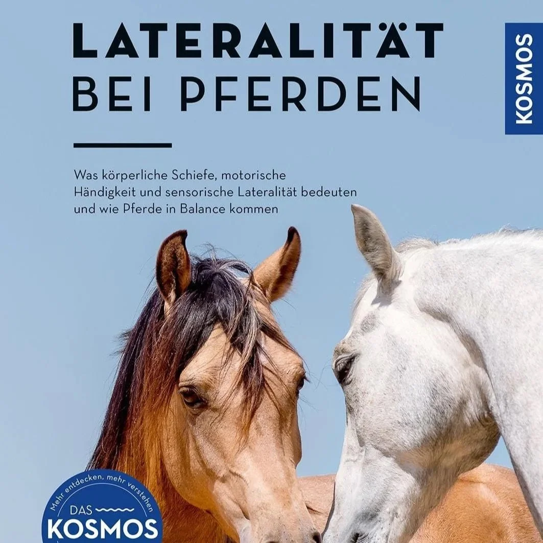 71%2BBIKRYrHL._SL1500_.jpg