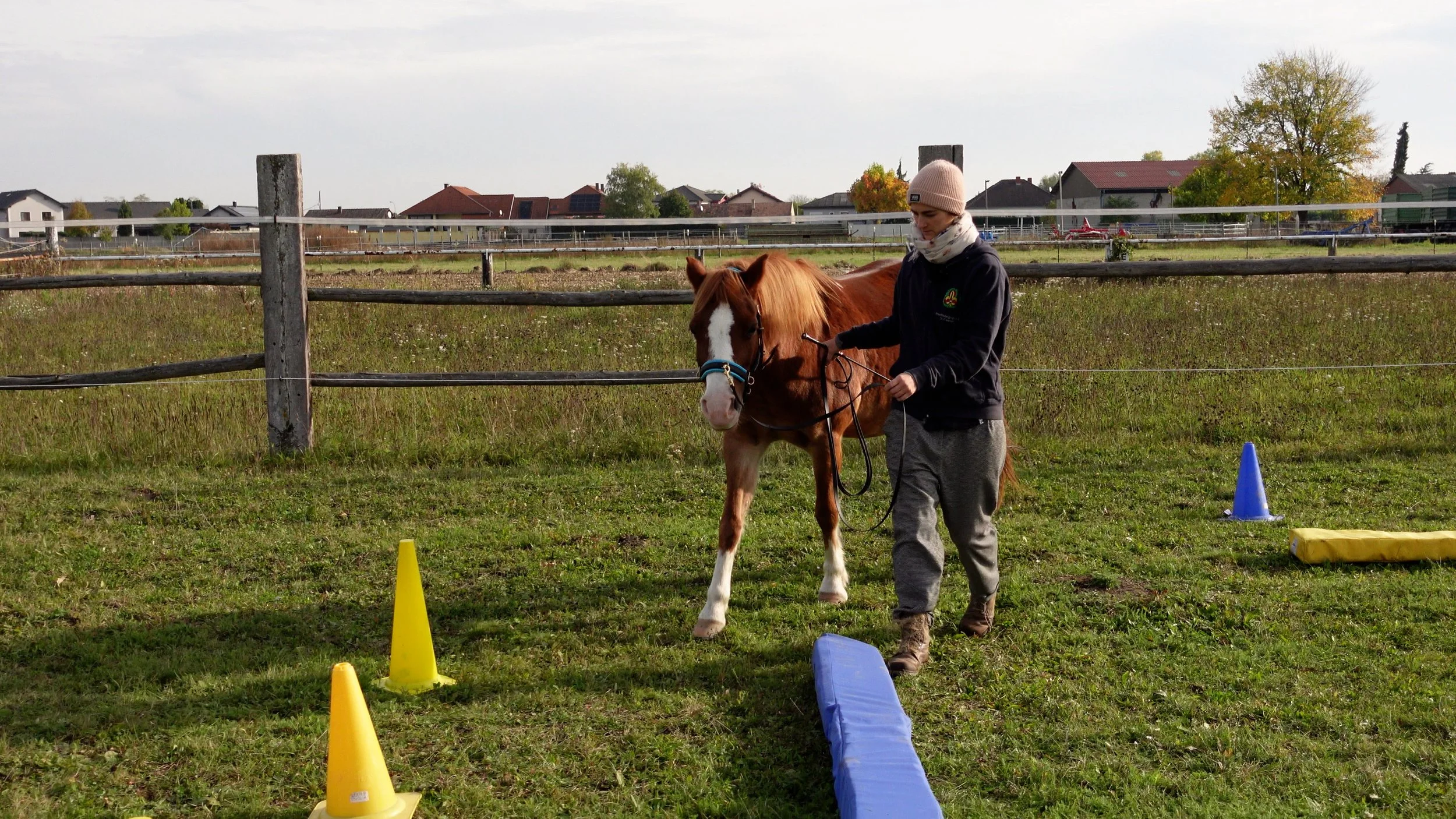 251022_Training_Tanja.00_41_00_11.Still007.jpg