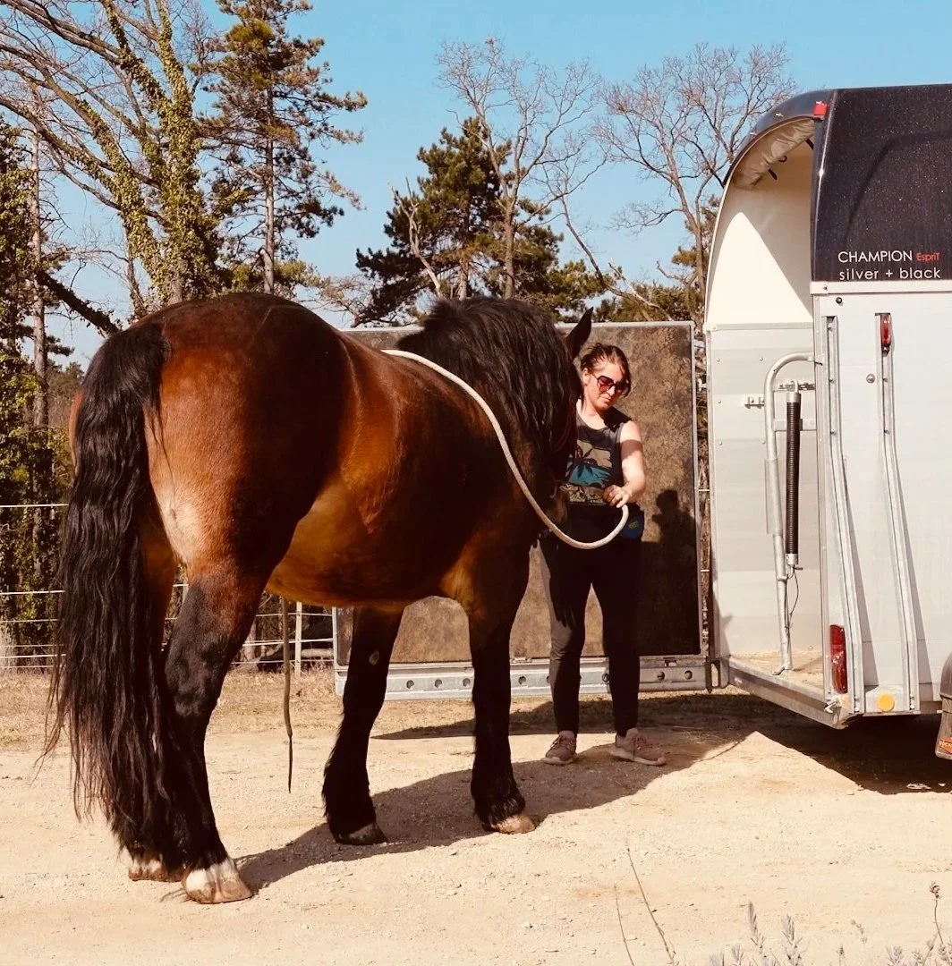 Nadja während eines Hängertrainings