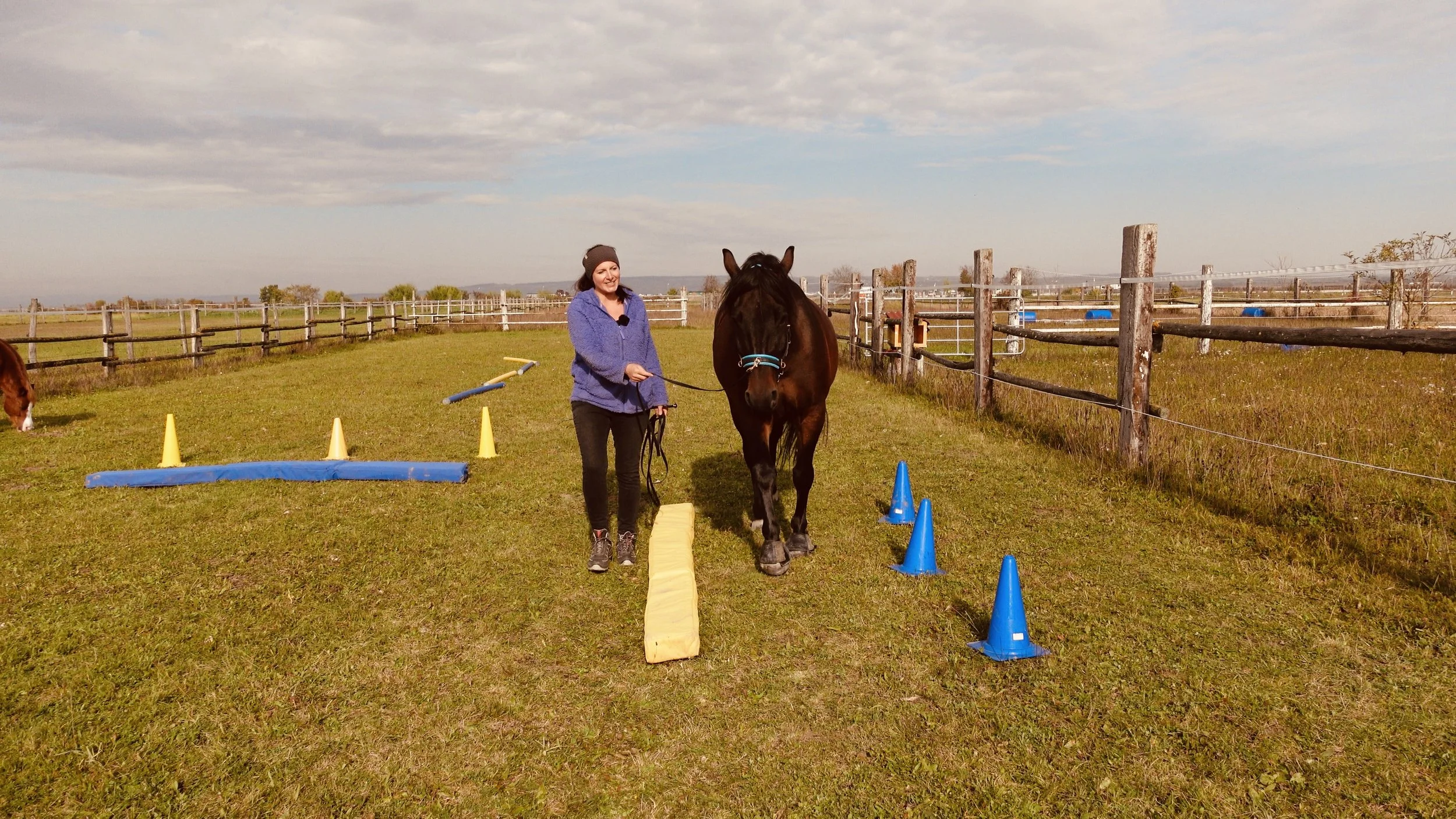 Nadja und Max während eines Equikinetic Trainings