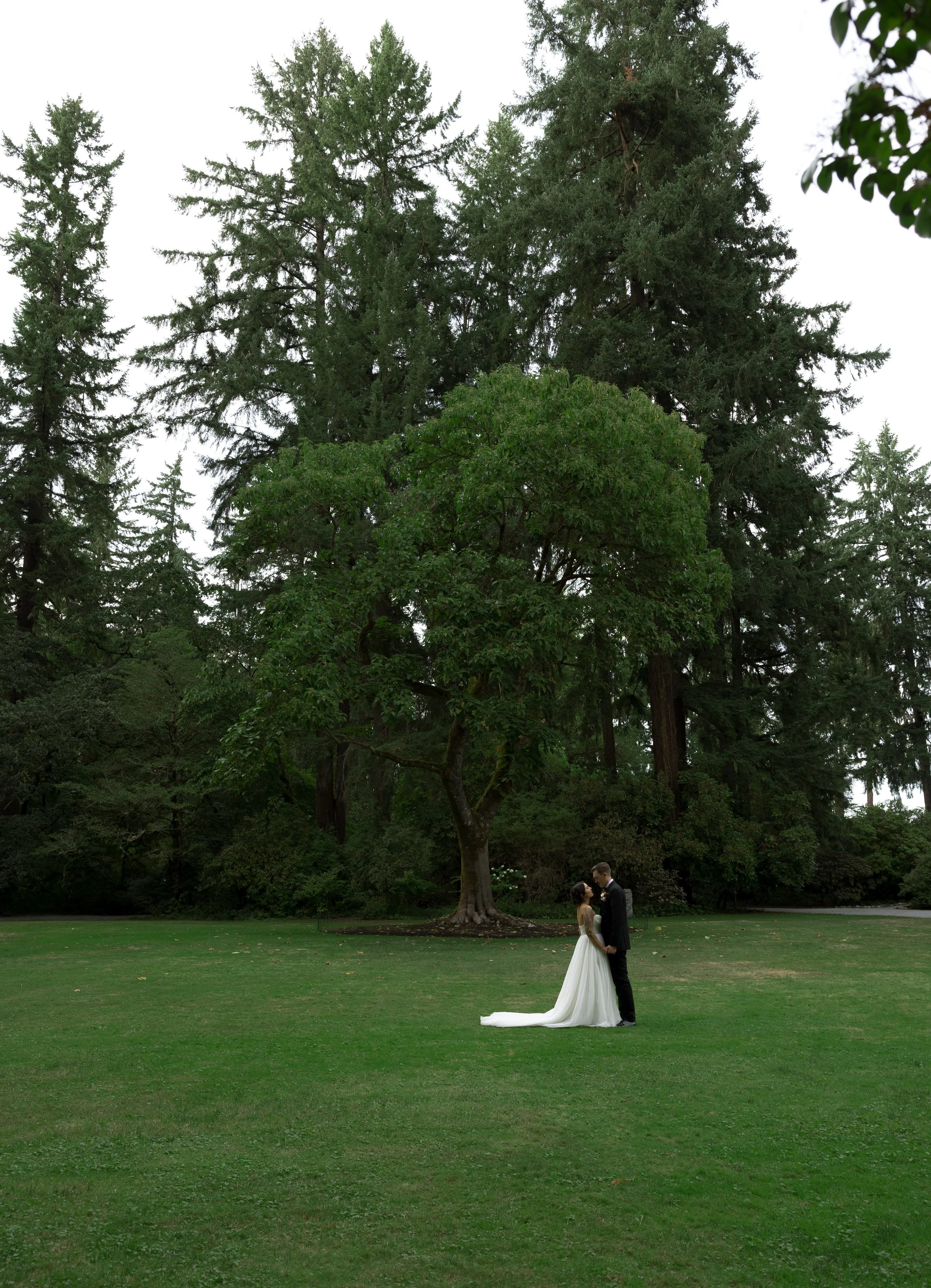 A bride and groom standing together on a grassy lawn under a large tree during daytime, with the bride in a white wedding dress and the groom in a black suit at a European inspired Lakewold Gardens wedding in Seattle