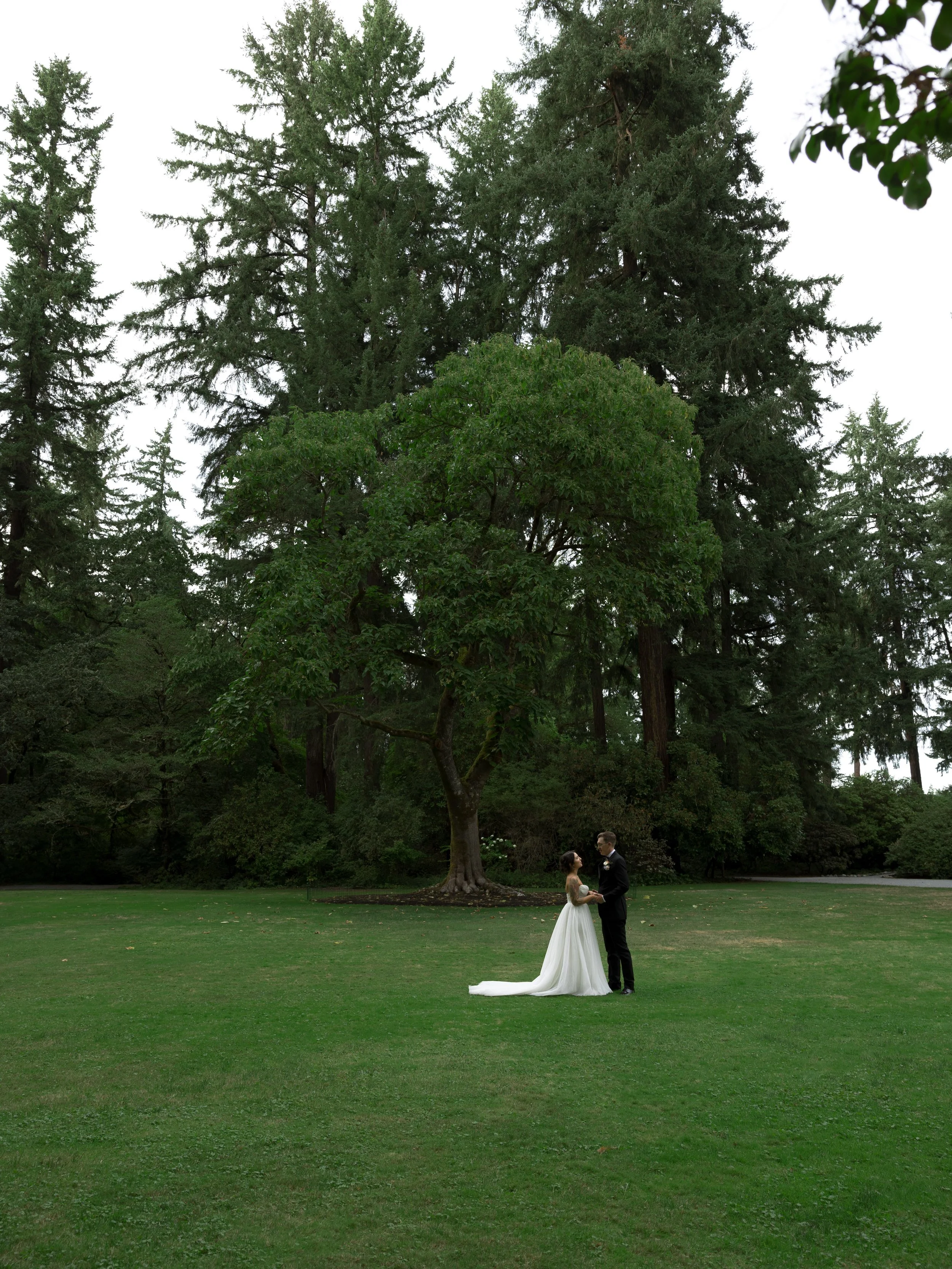 A bride and groom standing on a grassy area holding hands during their wedding ceremony in a park with tall trees and cloudy sky at a European inspired Lakewold Gardens wedding in Seattle