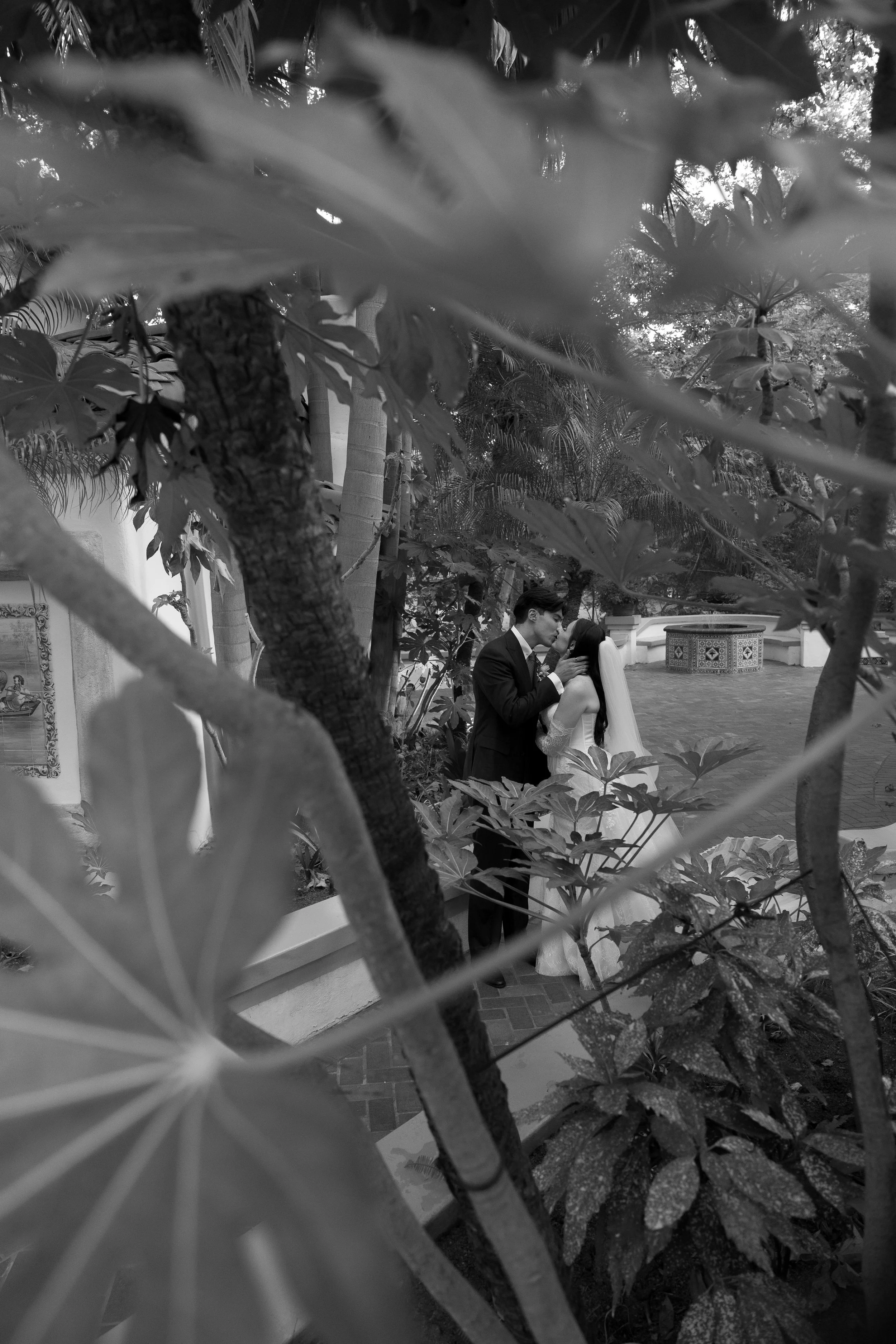 A black and white photo of a bride and groom sharing a kiss framed by tropical plants at a Rancho Las Lomas Wedding in Los Angeles