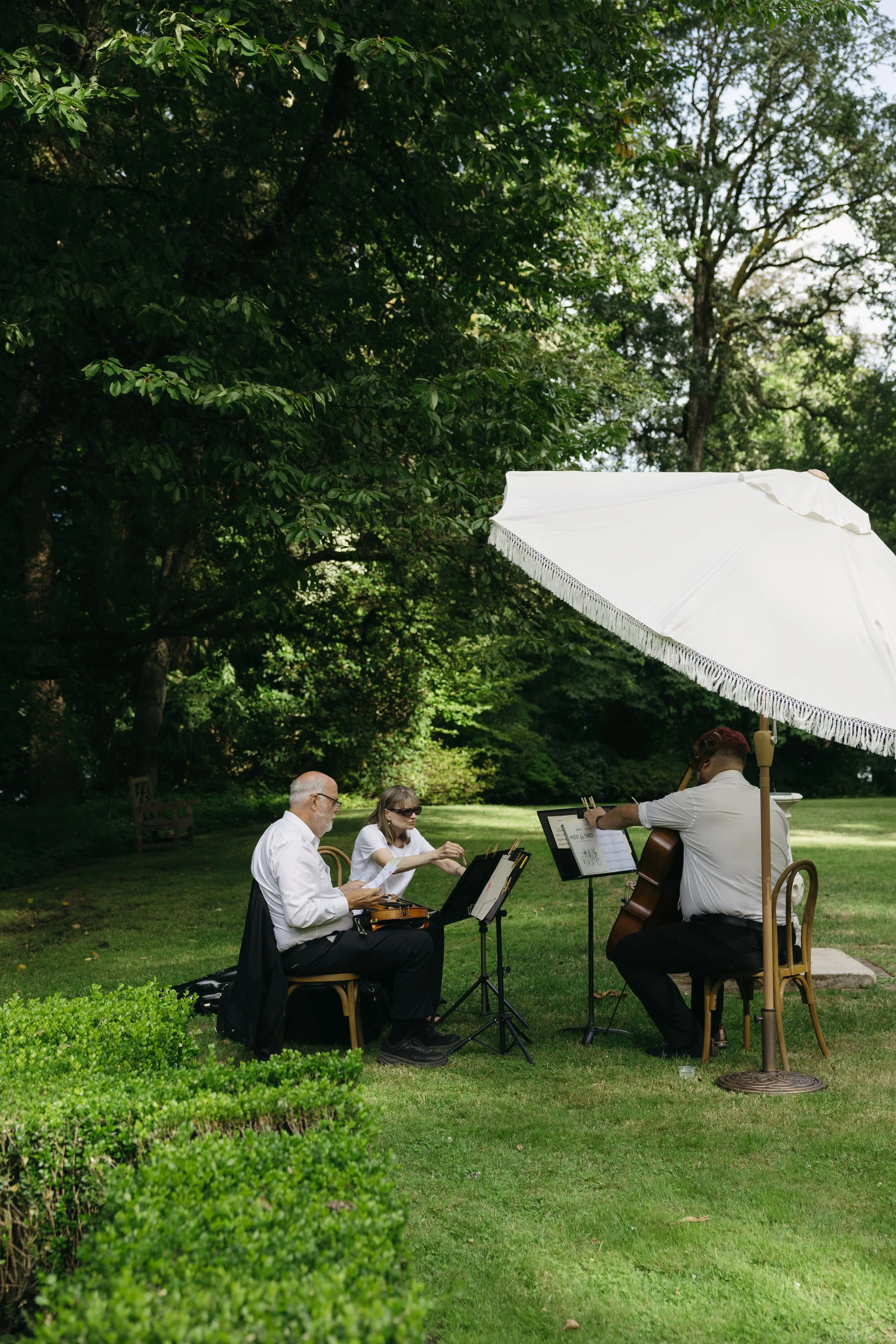 Three musicians playing instruments outdoors under a large white picnic umbrella on a lush green lawn with trees in the background.