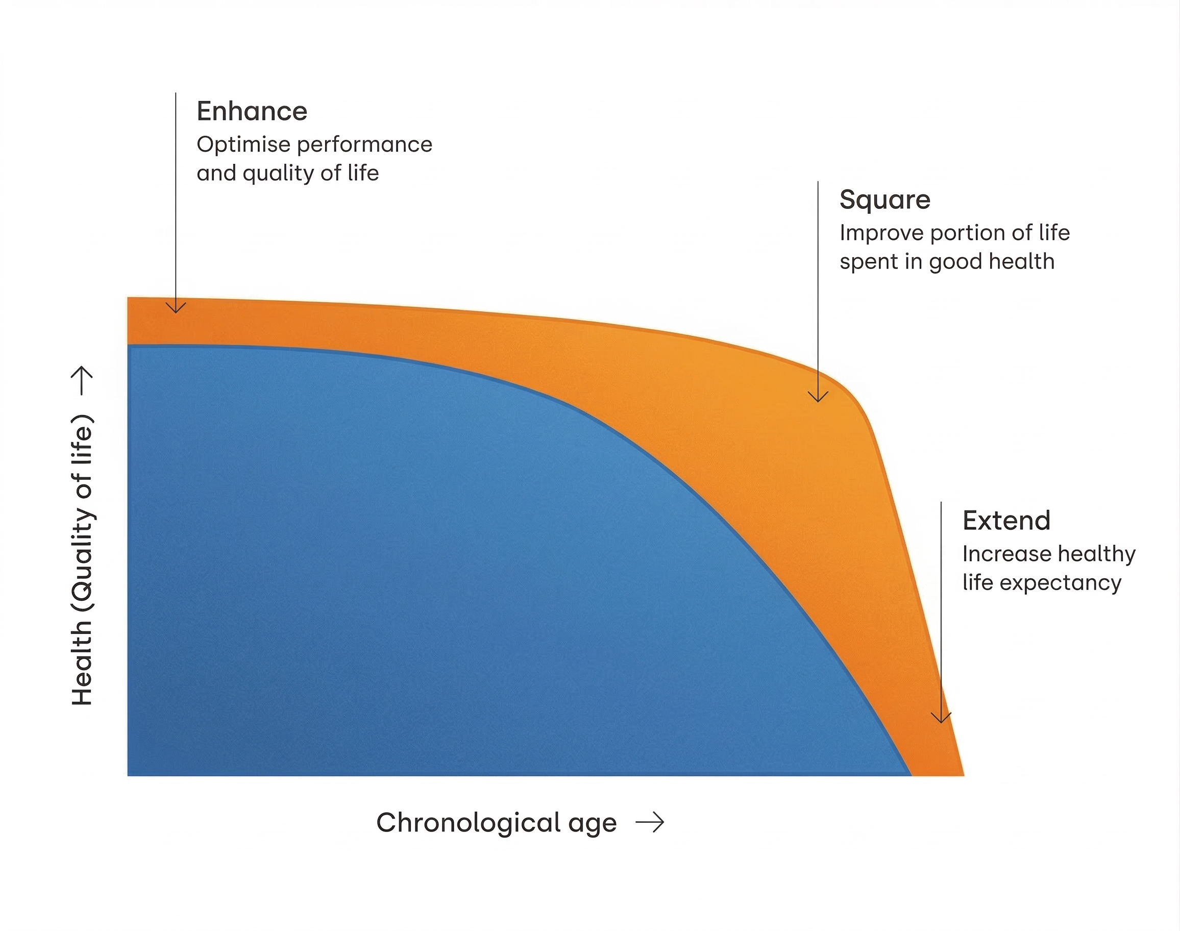 A chart showing the relationship between health (quality of life) and chronological age. The blue area indicates health decline with age, while the orange area illustrates how health can be enhanced, squared, or extended through improving performance, quality of life, and increasing healthy life expectancy.