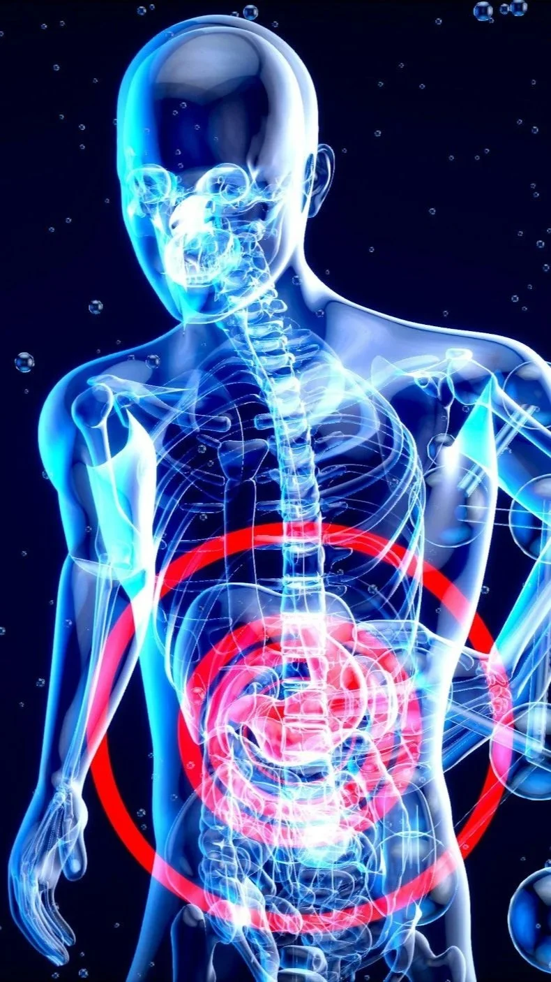 A digital illustration of a human skeleton with part of the head, chest, and abdominal organs visible. The image highlights the spine, ribs, and pelvis. The stomach and intestines are emphasized with red glow circles, indicating pain or discomfort.