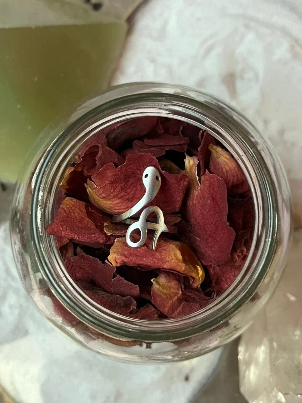 WhatsApp Image 2026-03-20 at 3.53.29 PM.jpeg