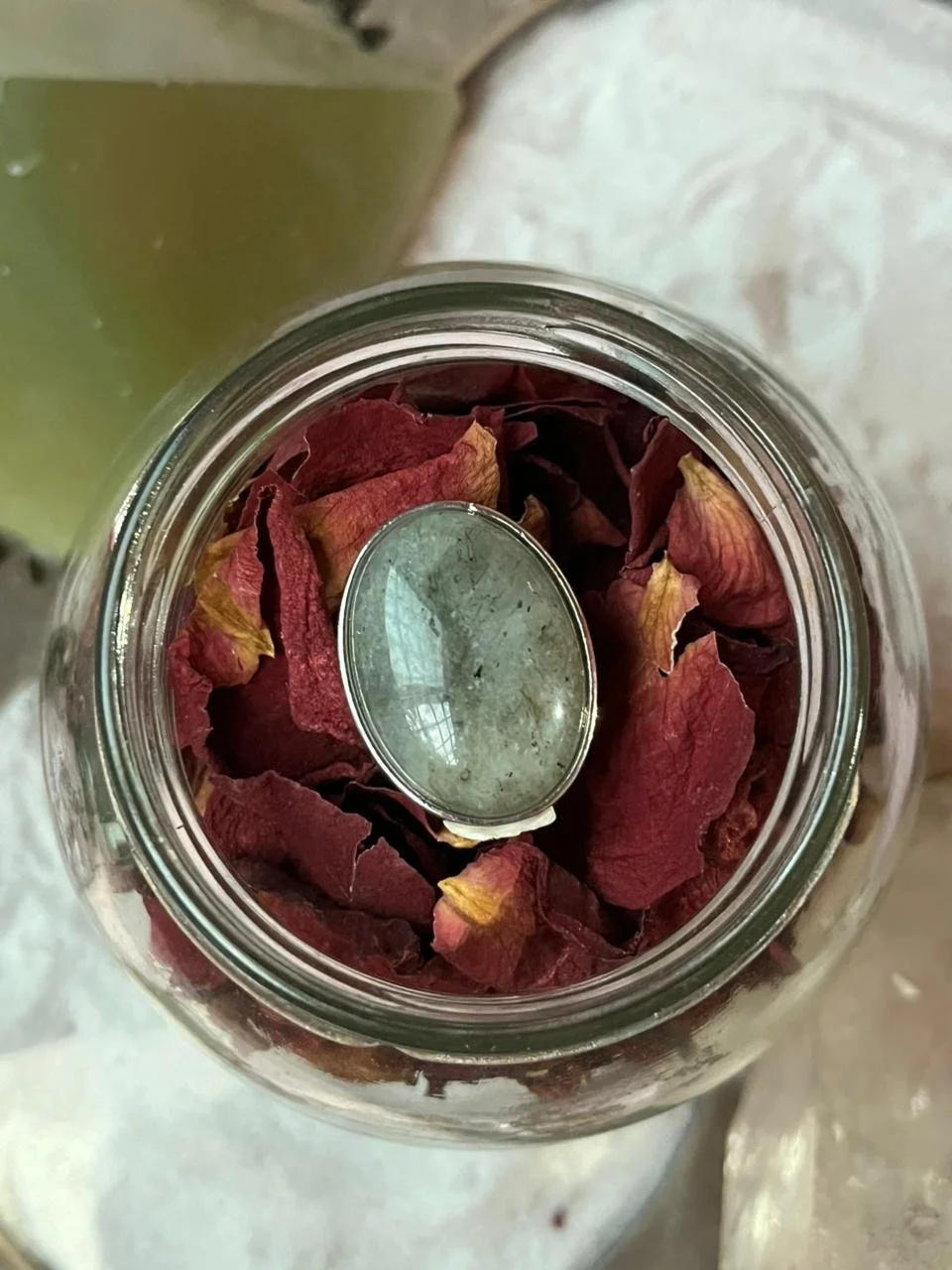 WhatsApp Image 2026-03-20 at 3.53.30 PM (1).jpeg