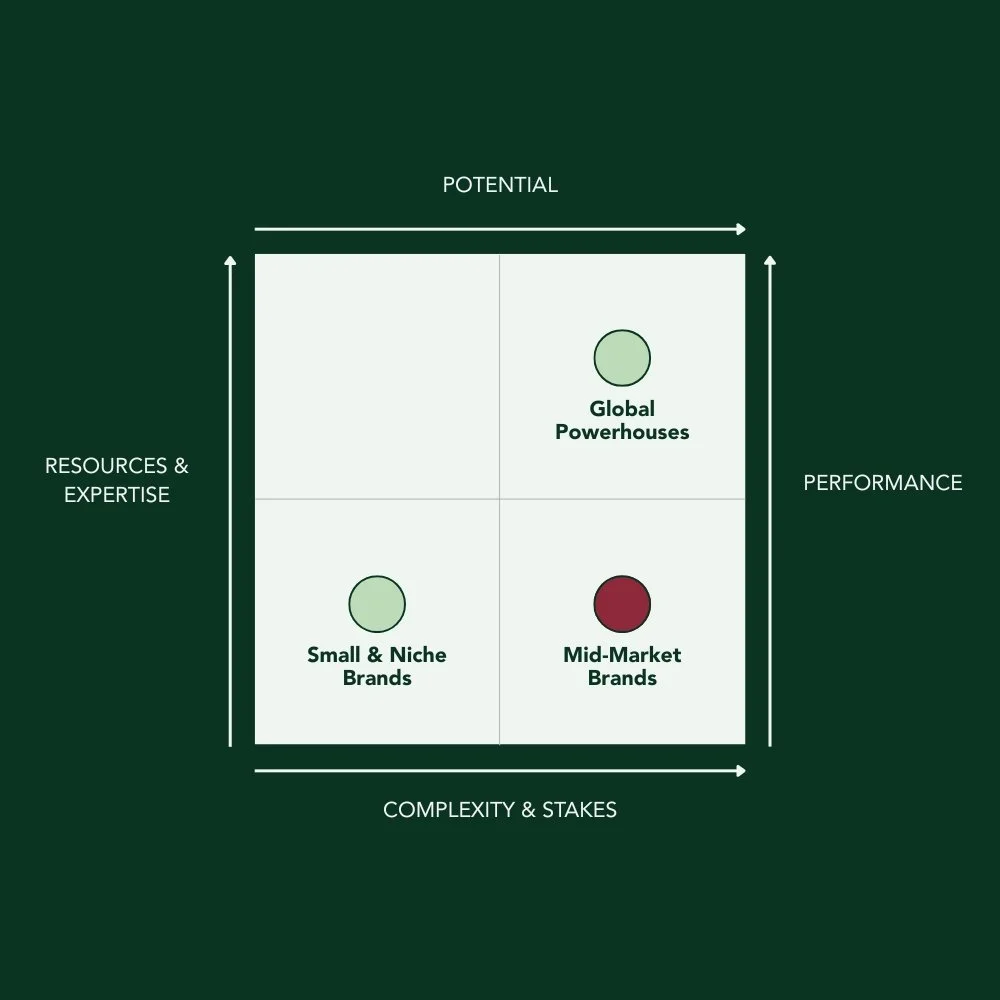 A strategic matrix with four quadrants labeled Resources & Expertise, Performance, Complexity & Stakes, and Potential. The top right quadrant contains a circle labeled Global Powerhouses. The bottom left quadrant contains a circle labeled Small & Niche Brands. The bottom right quadrant contains a circle labeled Mid-Market Brands.