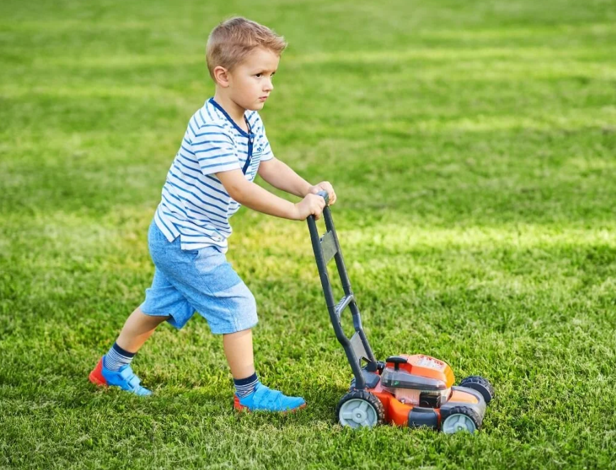 Garden and Yard Care