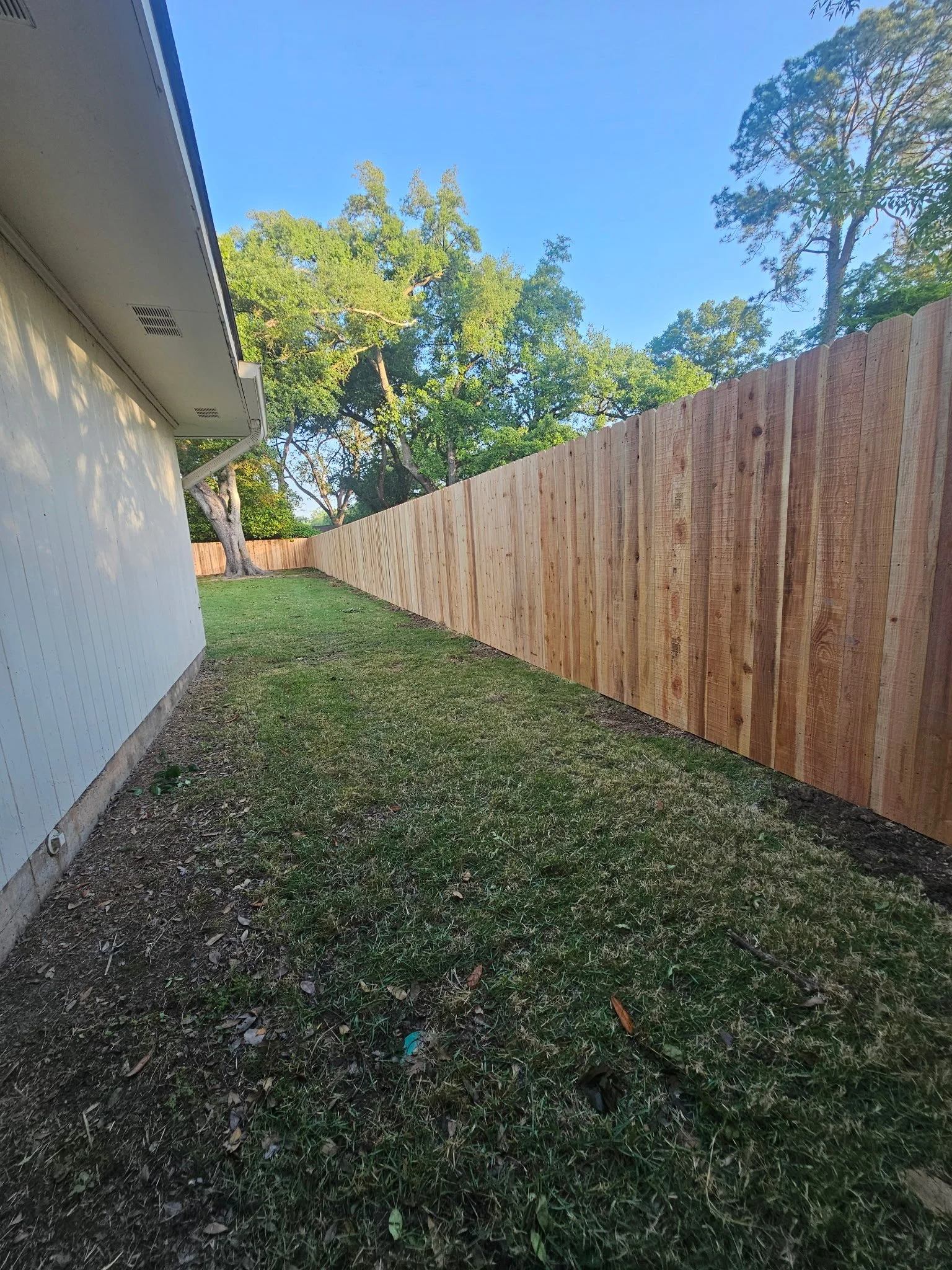 Why Cedar Outperforms Pine in Louisiana's Termite Zone