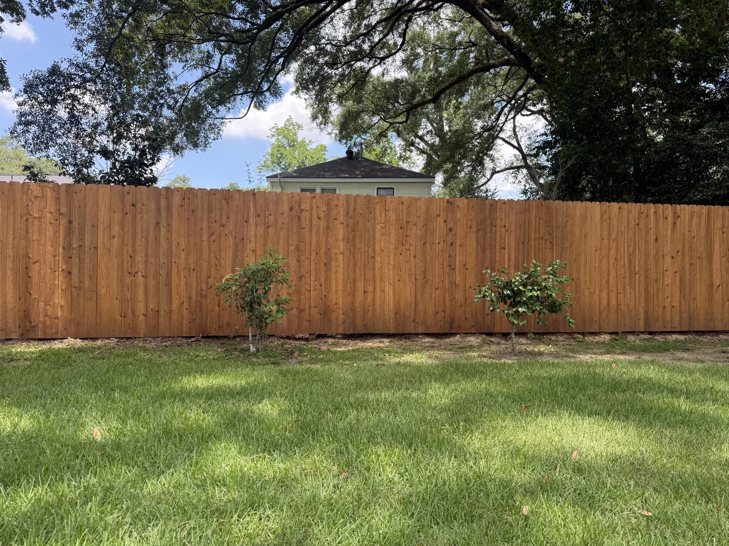 Fence Staining in Louisiana — Is TWP Worth It?