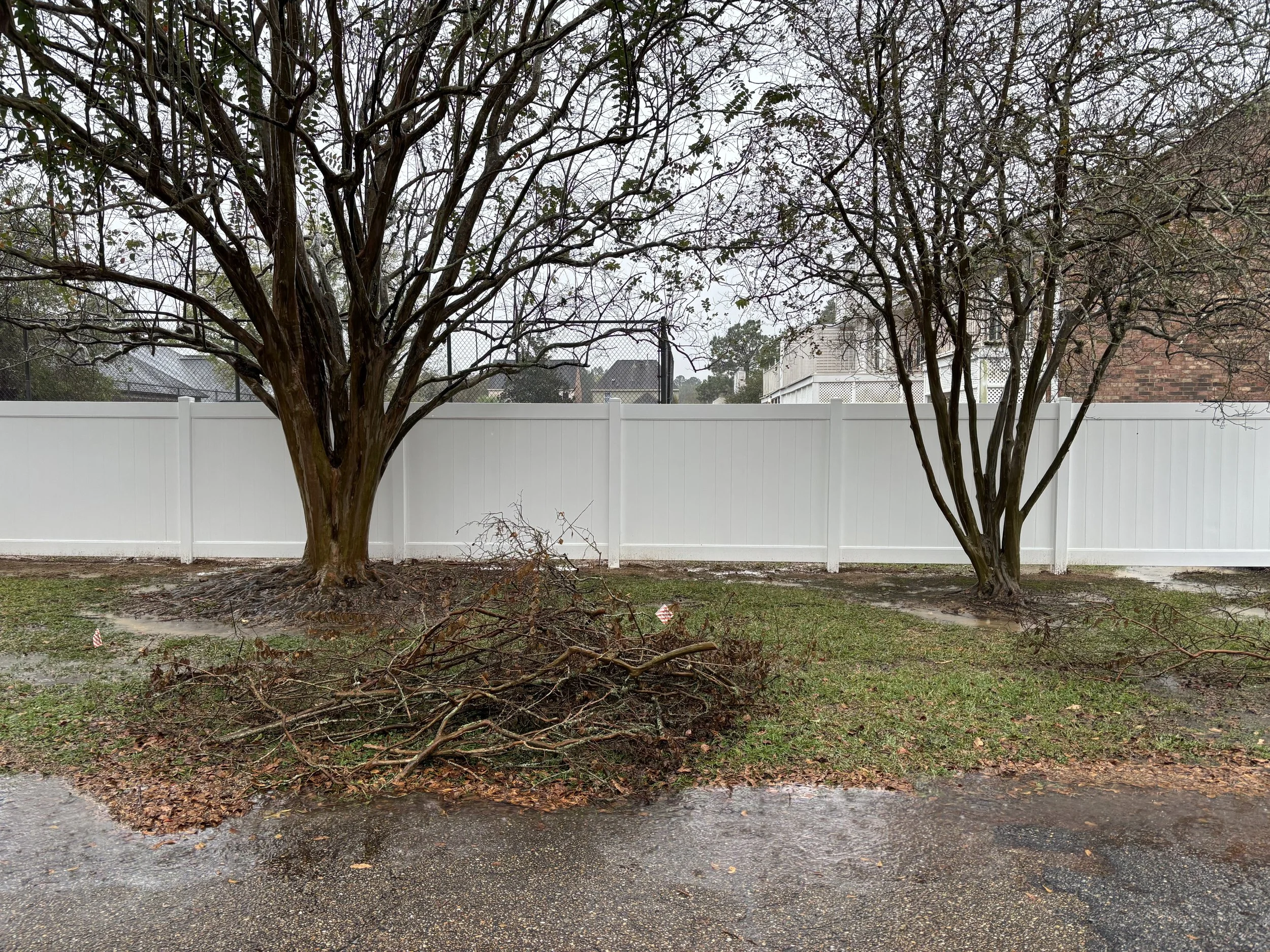 Two trees in a backyard with a white fence in the background. There is a pile of fallen branches and leaves on the ground, and the ground appears wet.