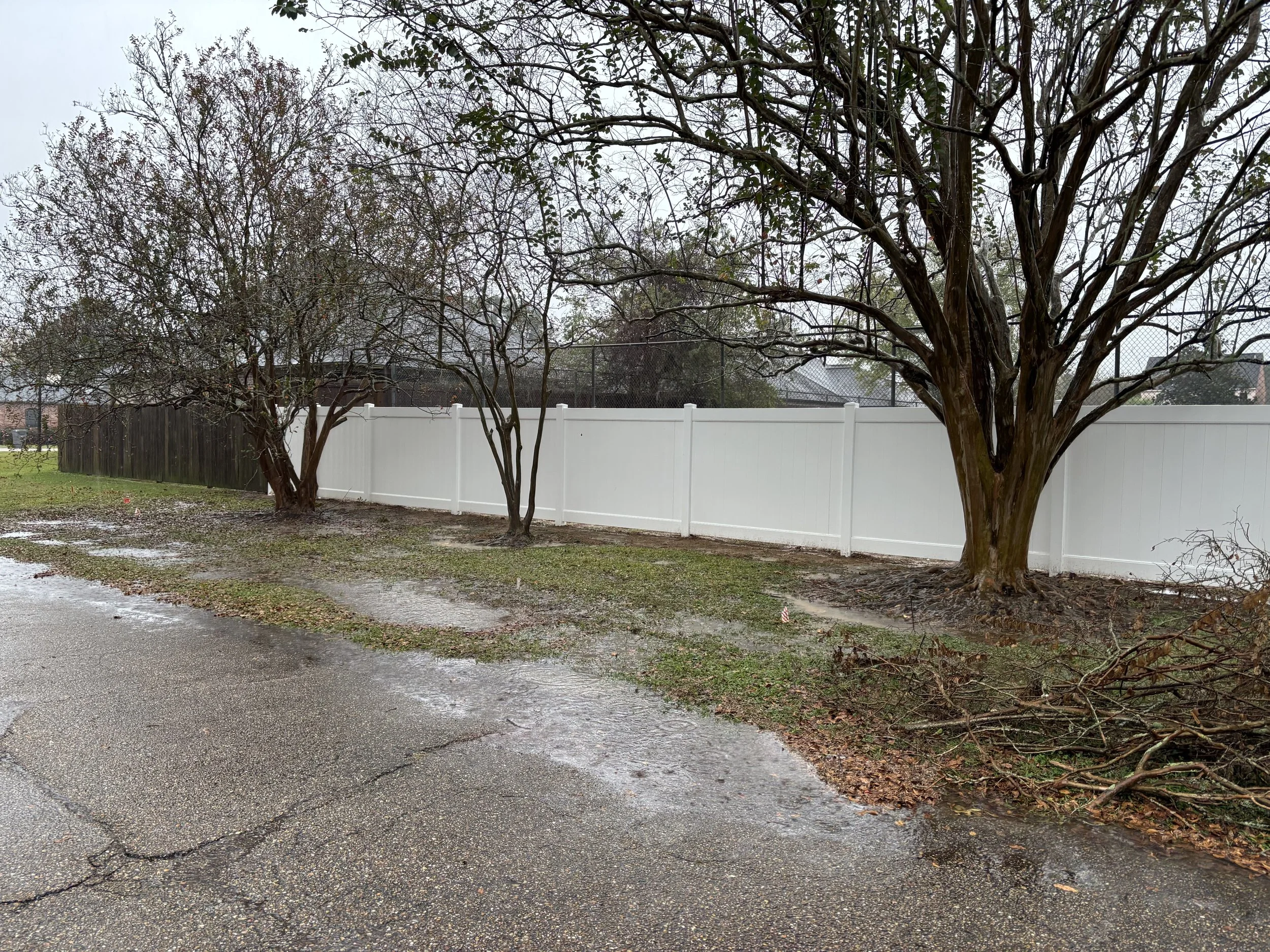 A wet street with patches of puddles and muddy areas, adjacent to a grassy yard with three trees, a white privacy fence, and a wire fence behind it, on an overcast day.
