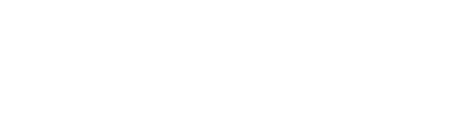 Alexano AI Management Training