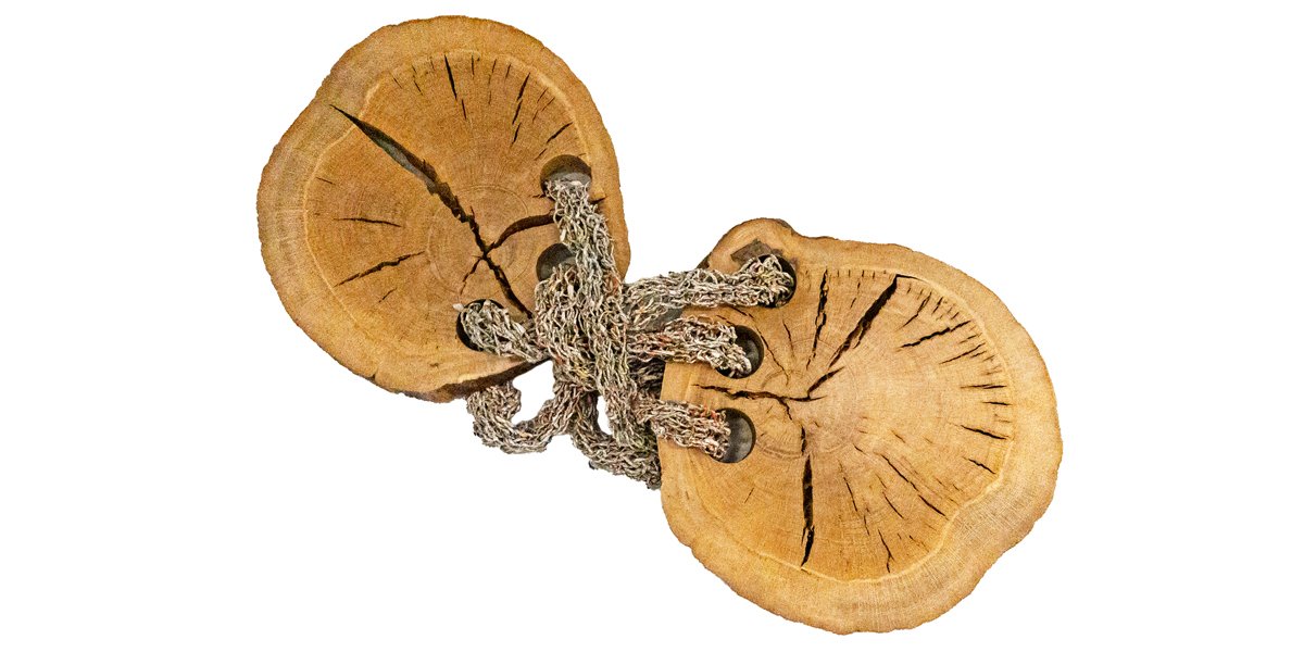 Through The Circle, Fast and Slow