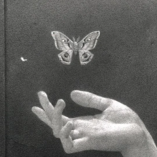 A hand reaching out towards a butterfly perched on a finger.
