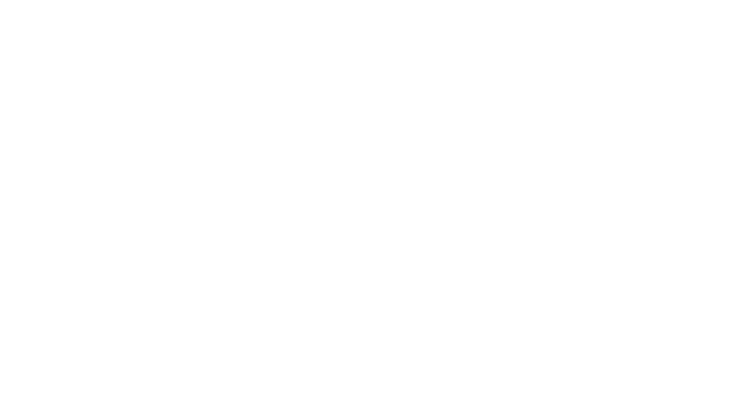 raīz unique objects