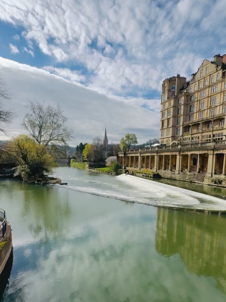 The neighbourhood is looking goooood in the sunshine! ❤️