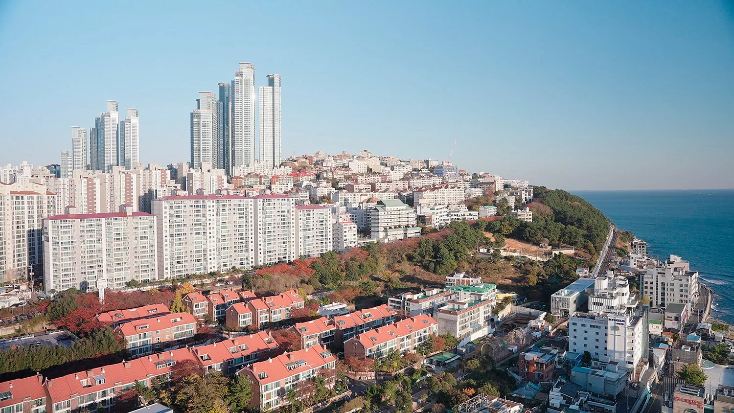 ThisIsSera - Busan 2.jpg