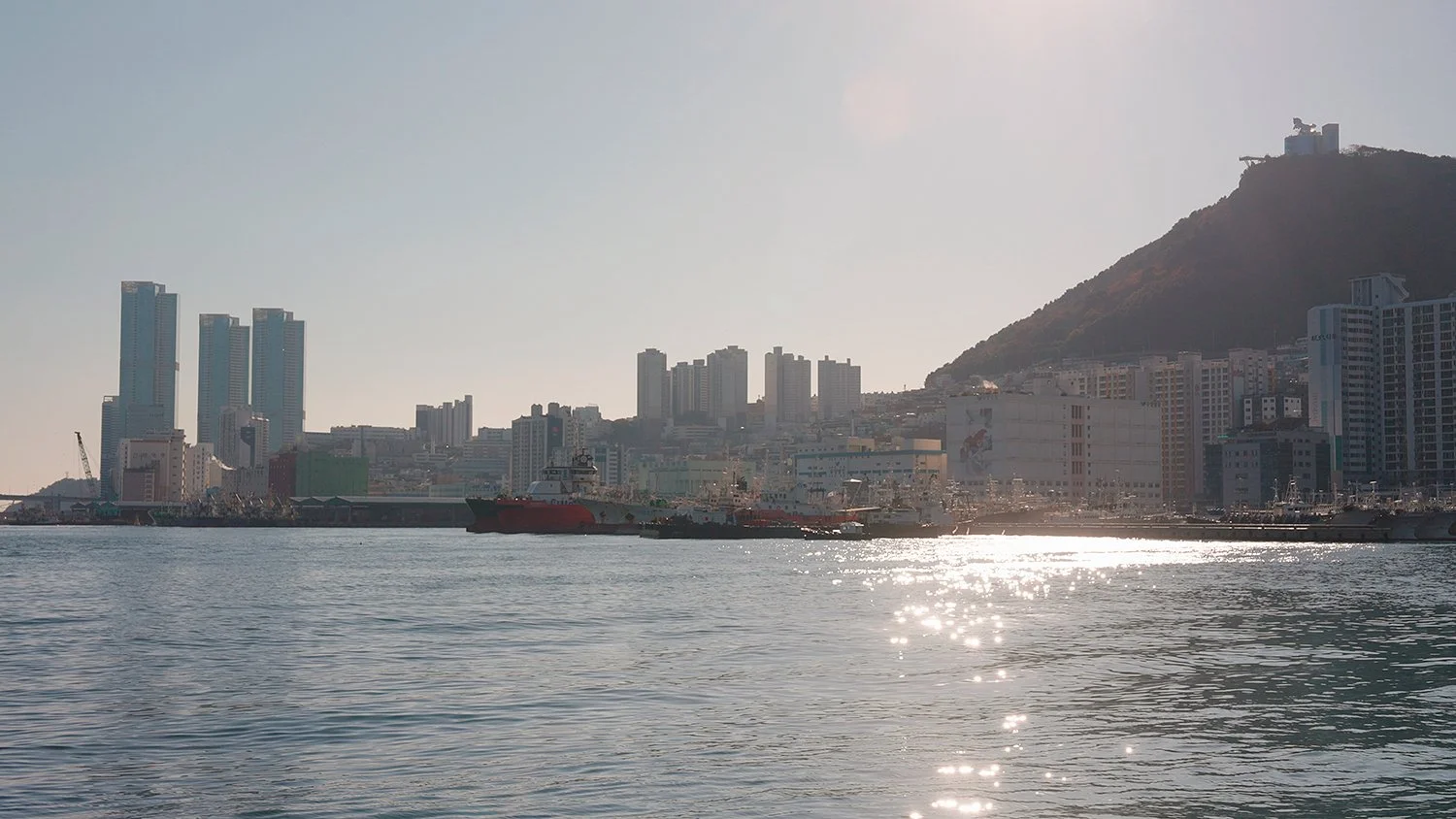 ThisIsSera - Busan.jpg