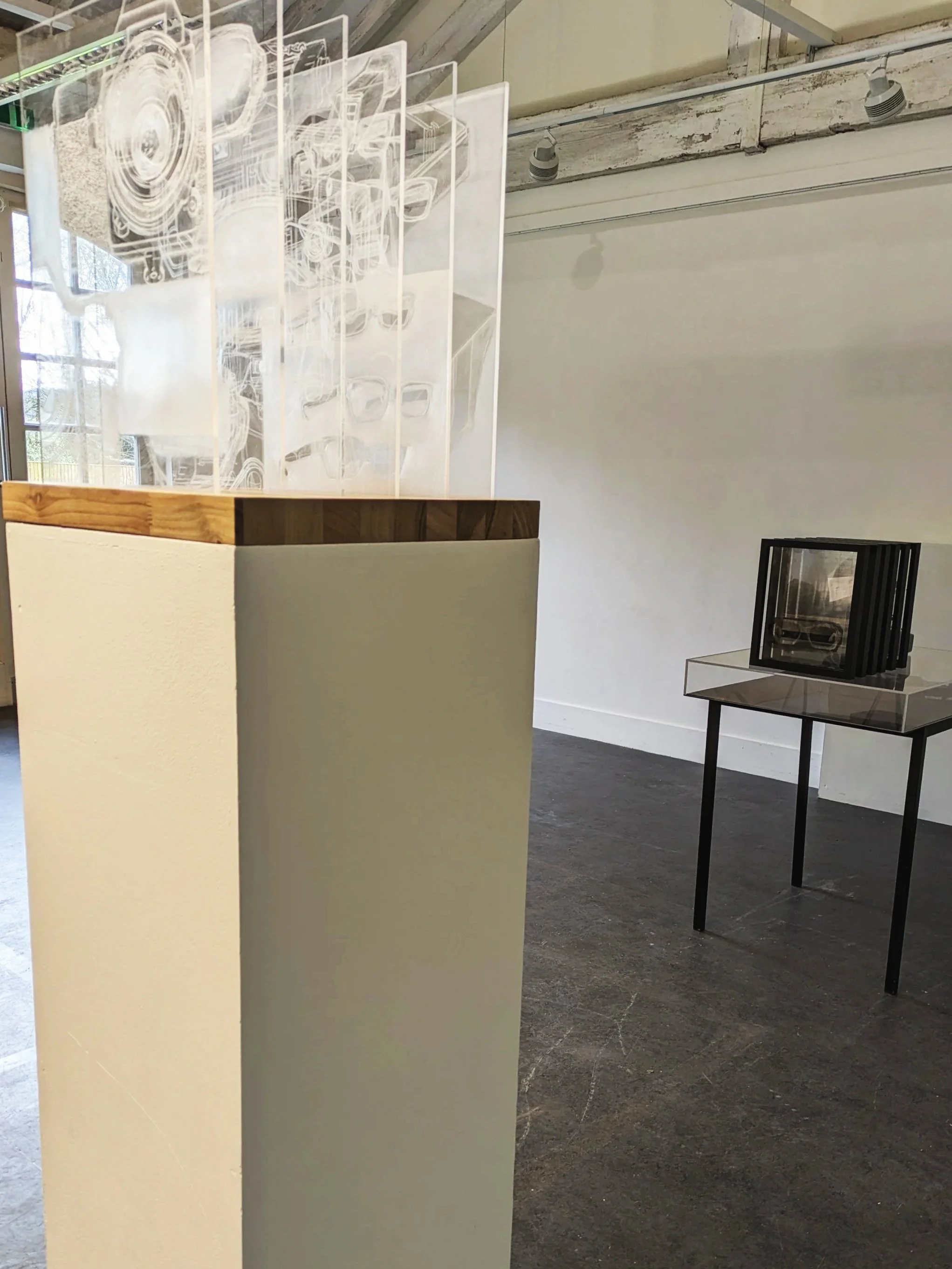 R Godbole 2024 Prohibeo Hominis: Installation View