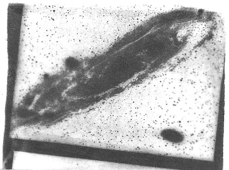 Spiral Nebula Agyrotype